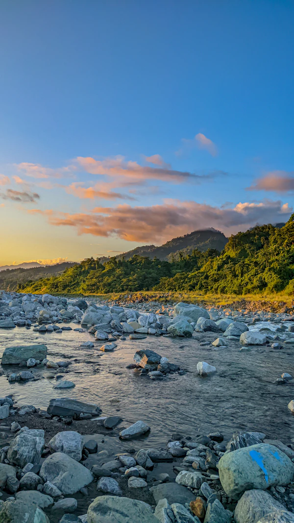 River flowing through forest landscape, Arunachal Pradesh