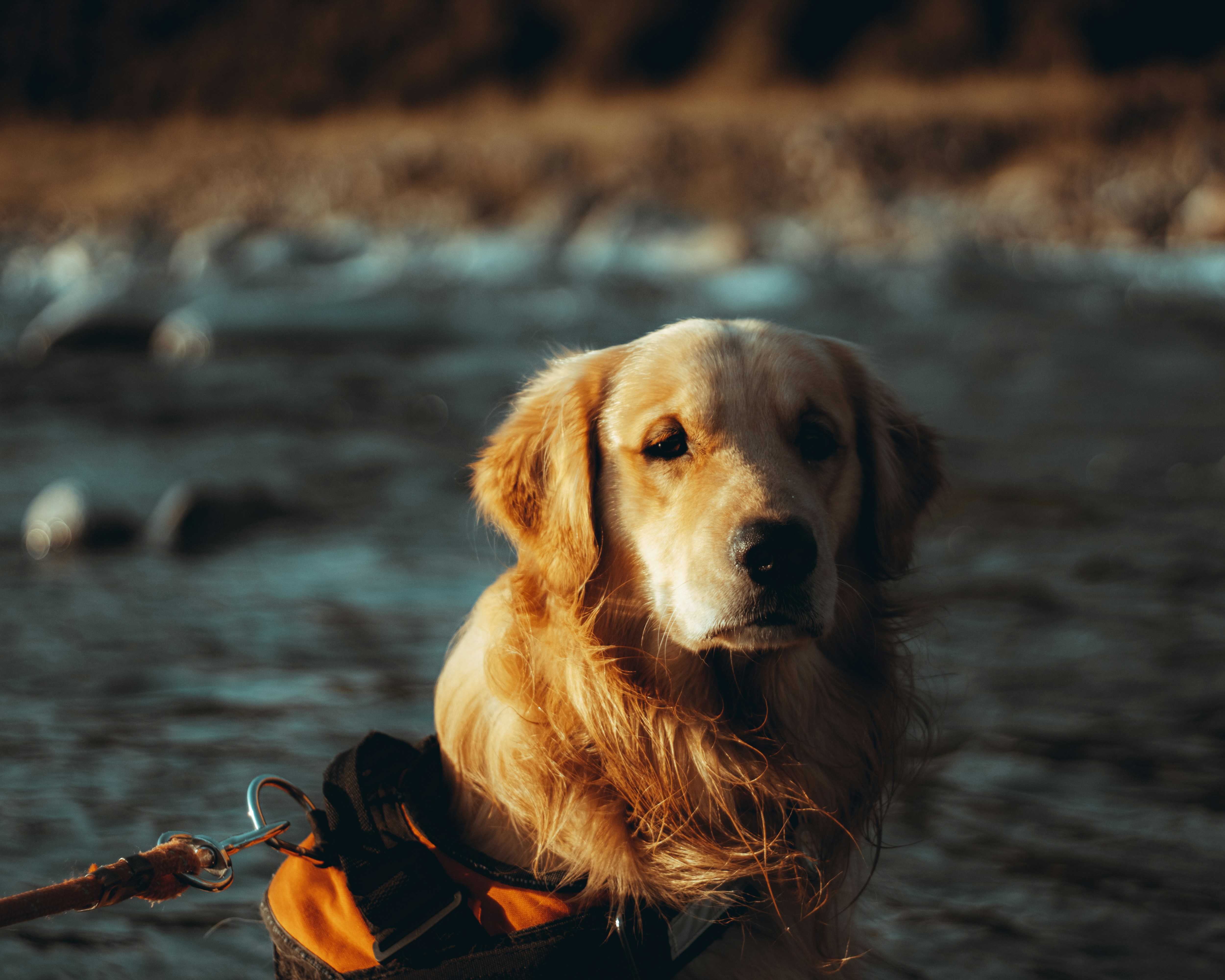 Photo by shantanugoyal_