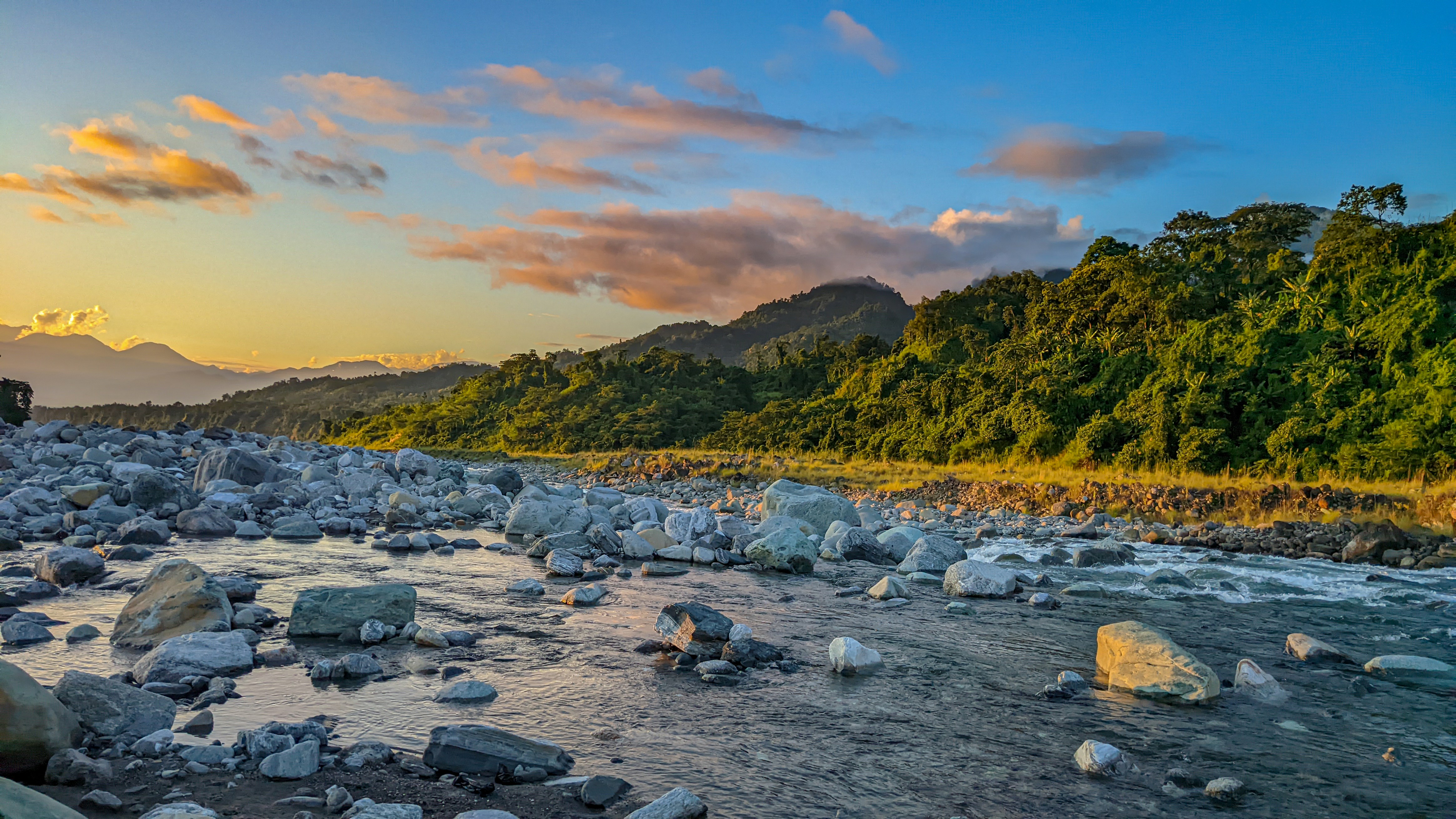 Un río que atraviesa un frondoso bosque verde