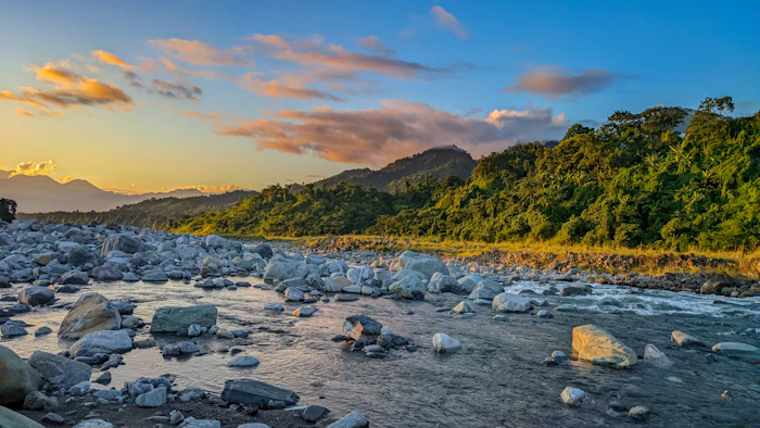 River running through forest landscape, Arunachal Pradesh