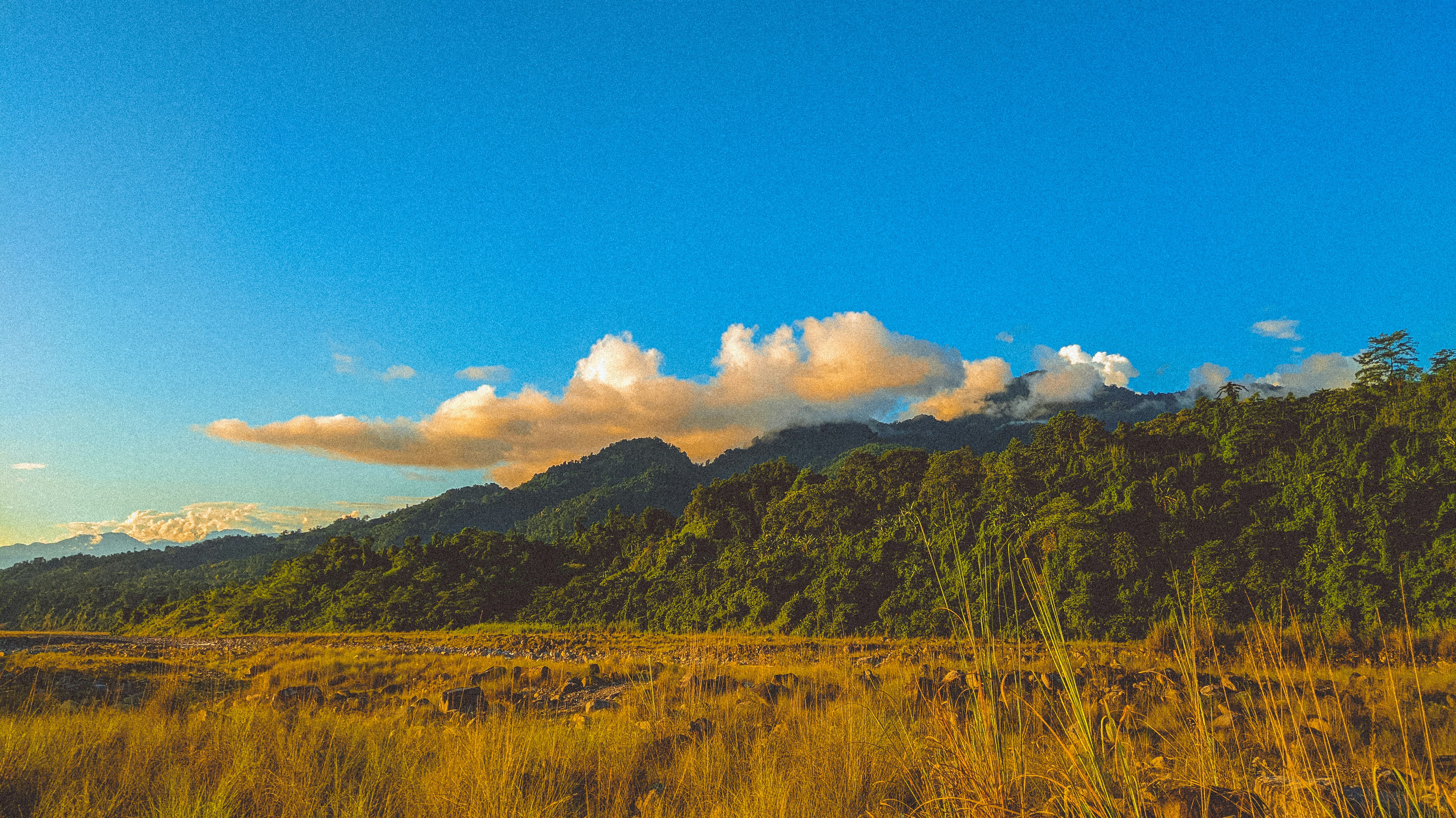 Photo by shantanugoyal_