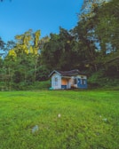 A cozy cabin surrounded by lush green forest under a clear blue sky.