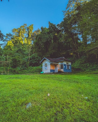 A cozy cabin surrounded by lush green forest under a clear blue sky.