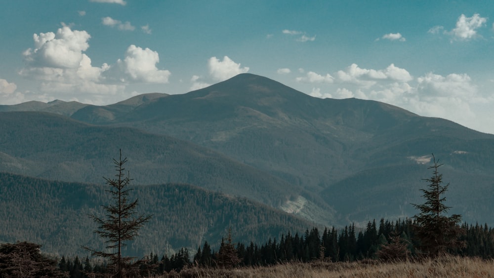 a view of a mountain range with trees in the foreground