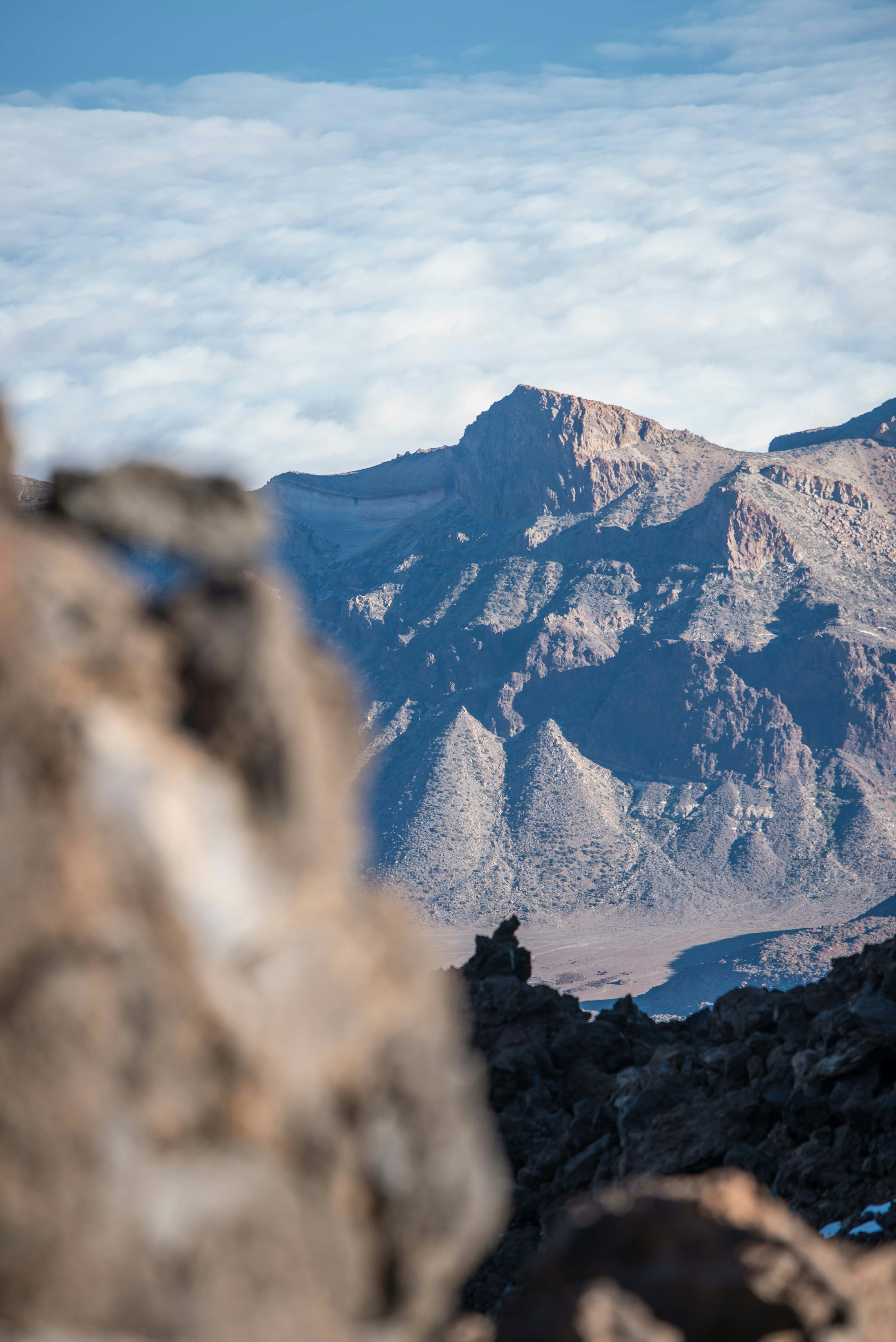 Photo by arvidbergdotphotos