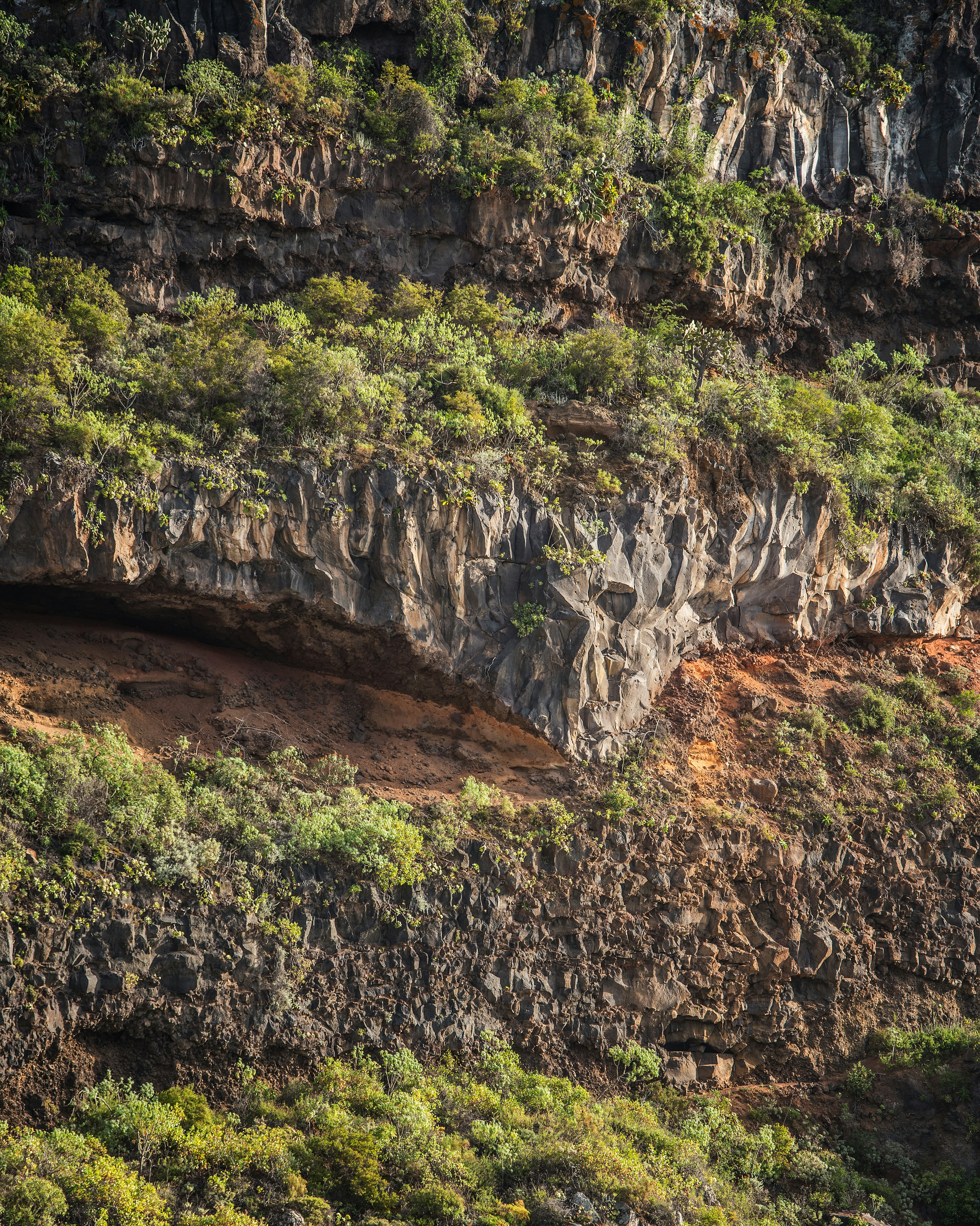 Photo by arvidbergdotphotos