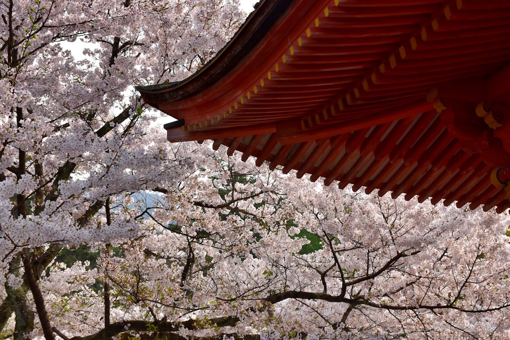 a view of cherry blossom trees and a red roof