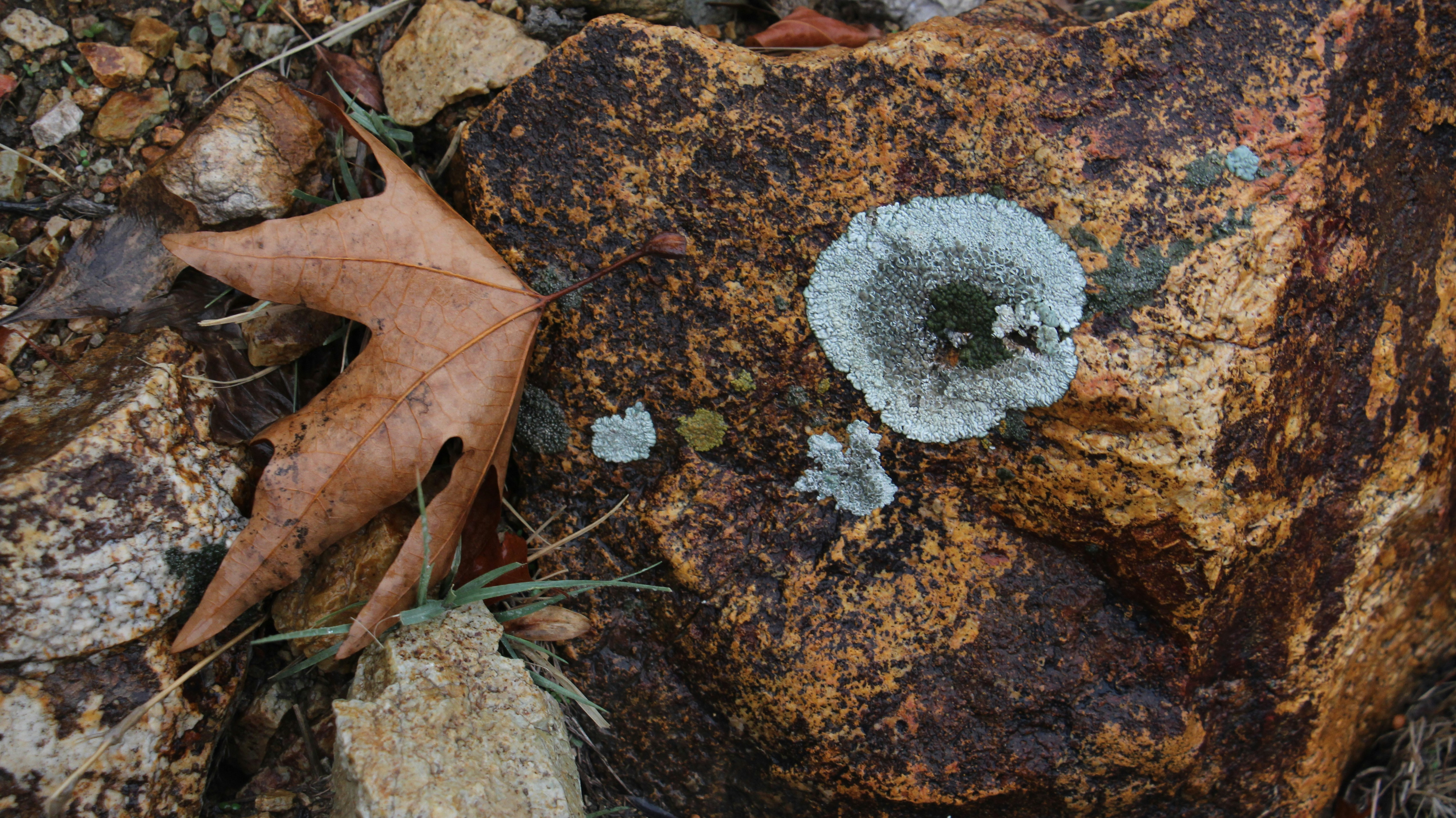 The Pennsylvania Economic Nightmare: $324 Million Gone (image credits: unsplash)