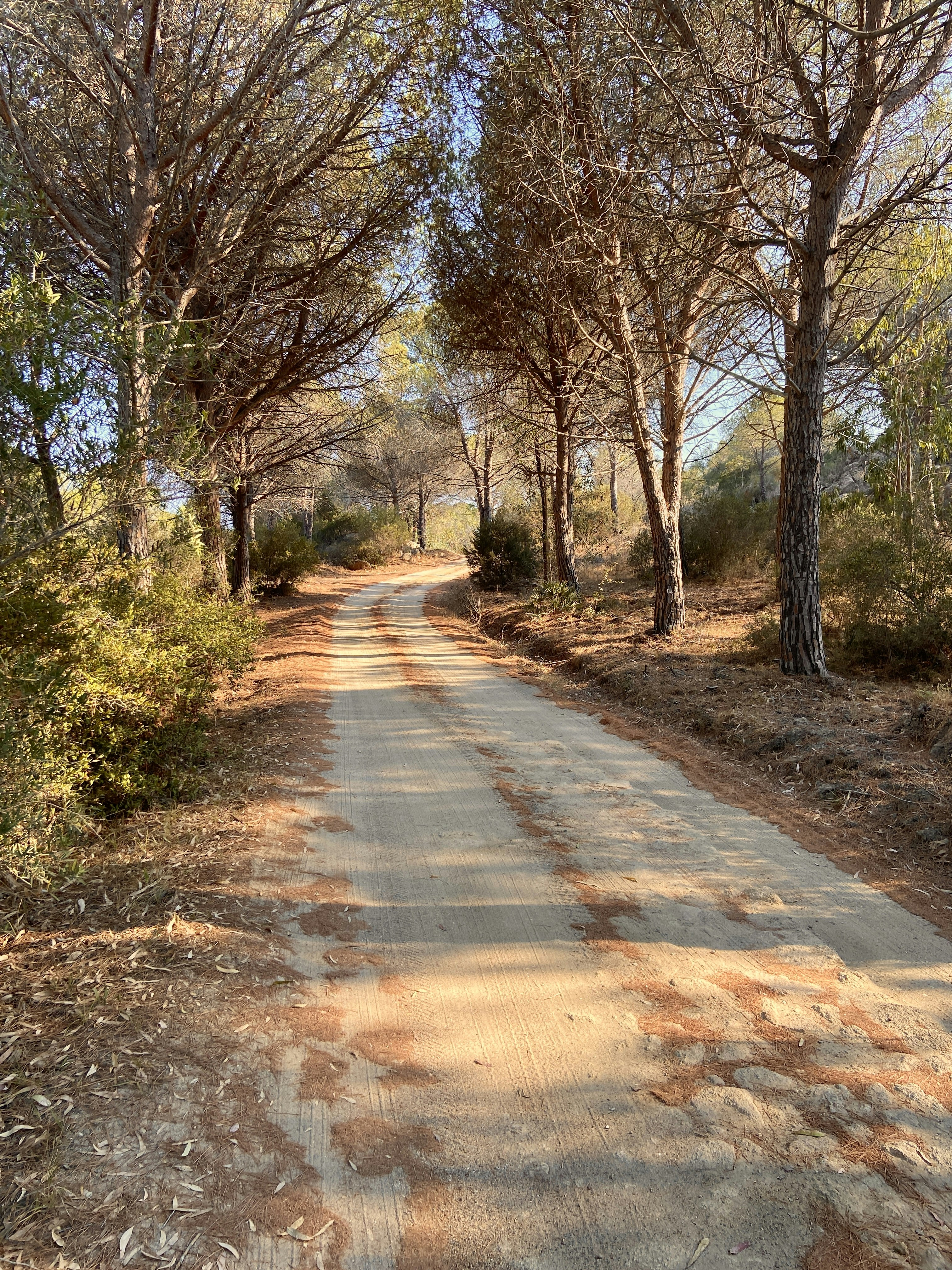 Photo by elijahbillas