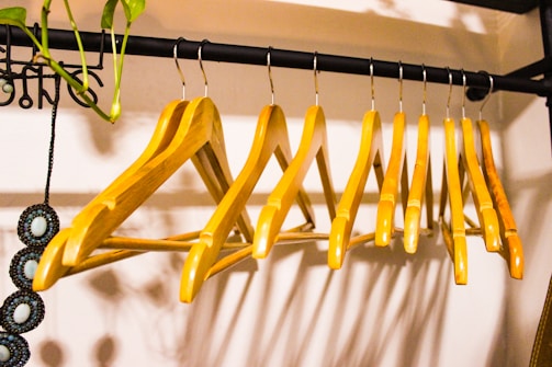 A row of wooden hangers neatly arranged on a black metal clothing rod. The hangers are evenly spaced and create a symmetrical pattern. A small green plant with dangling vines is attached to the left side of the rod, and a beaded accessory with circular patterns hangs beside it.