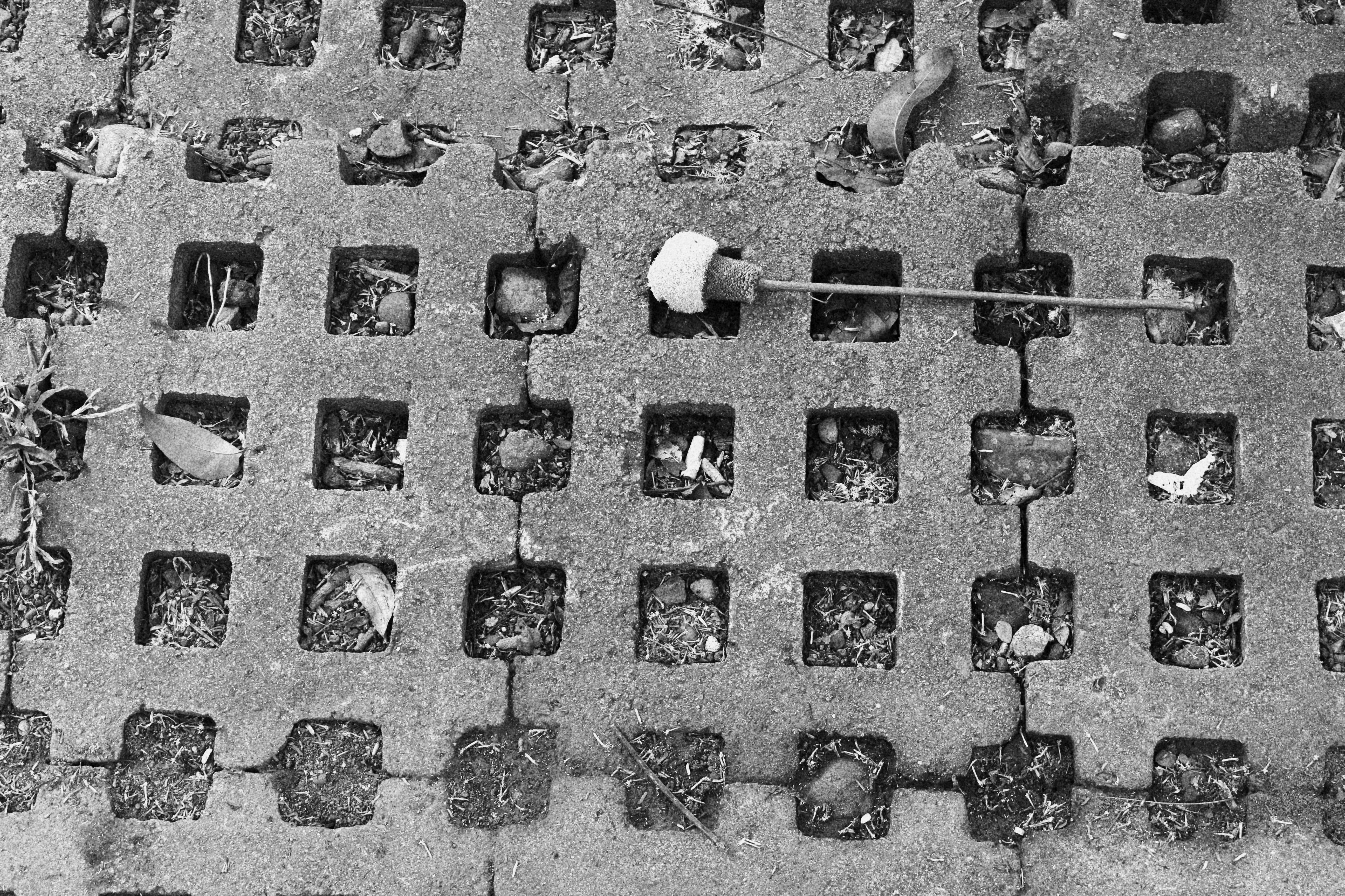 Une photo en noir et blanc d’une rue avec des plantes en pot