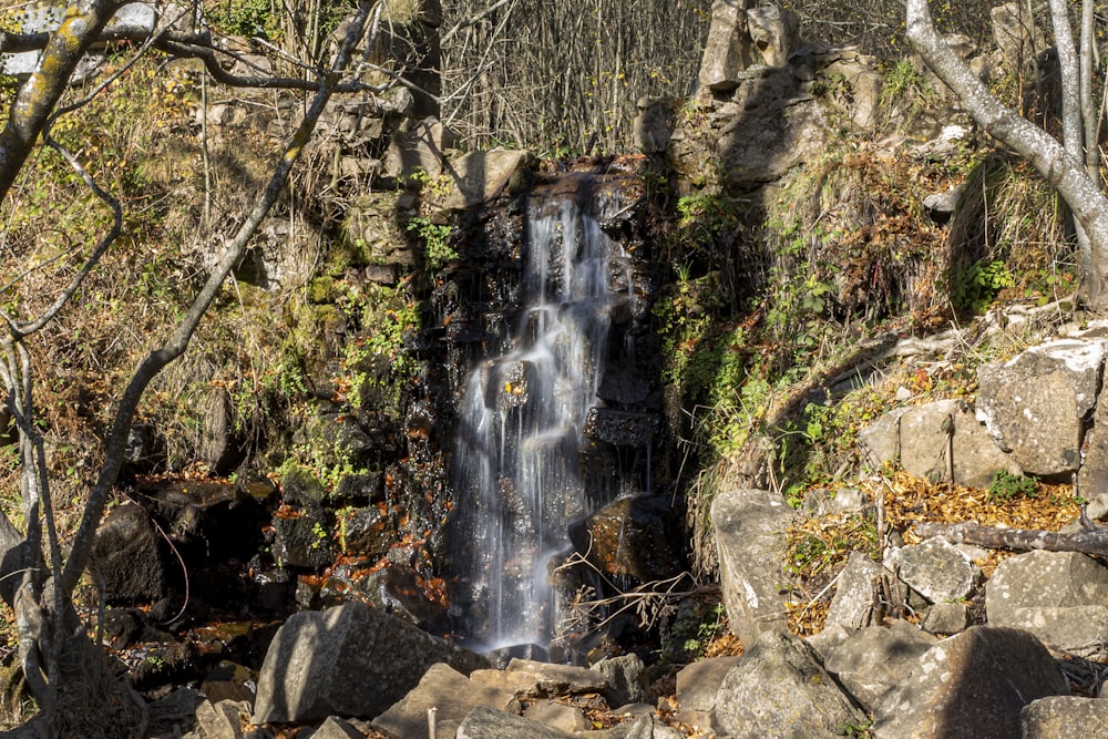 a waterfall in the middle of a forest