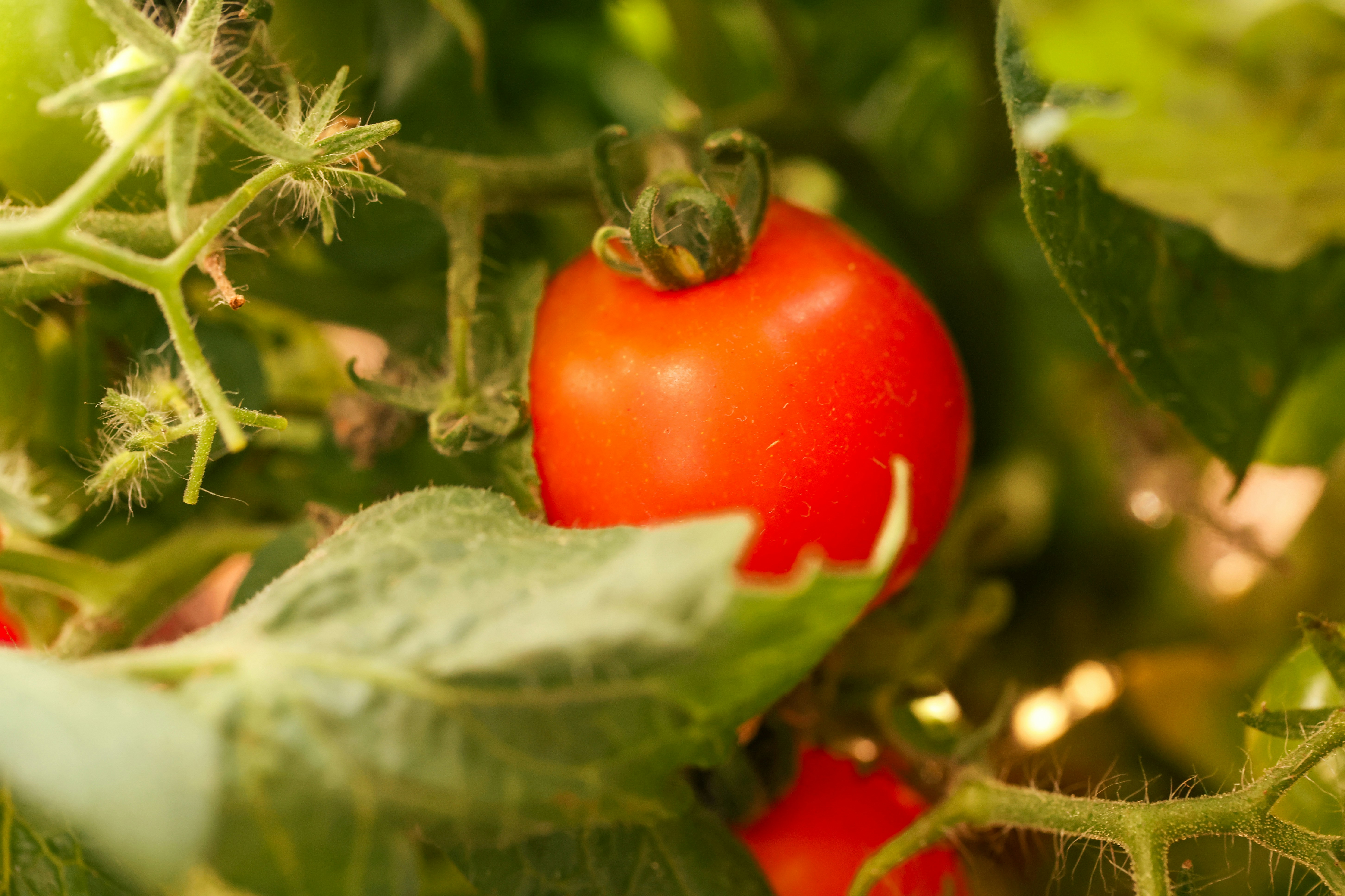 Photo by dickenslin76