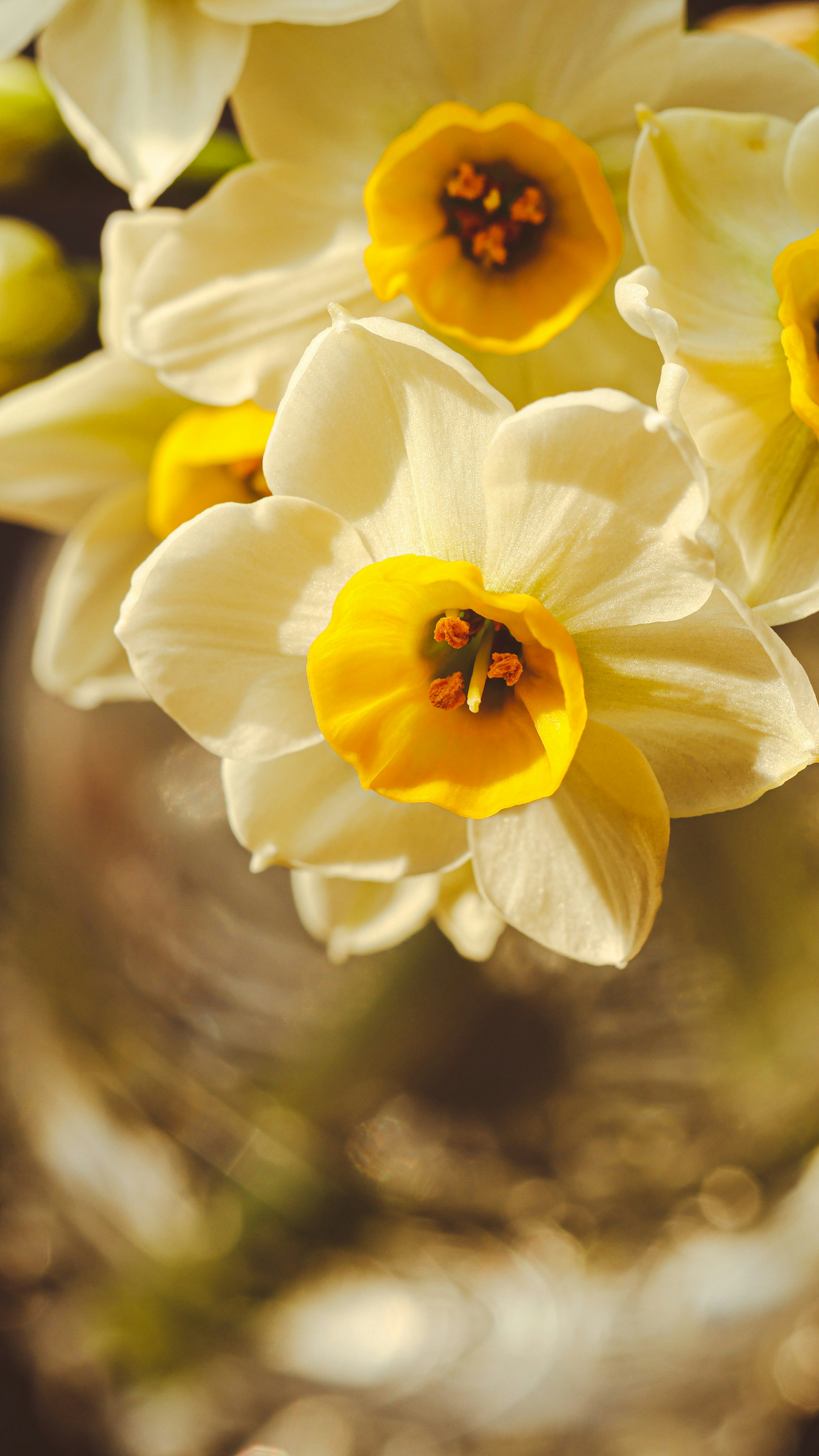 Photo by dickenslin76