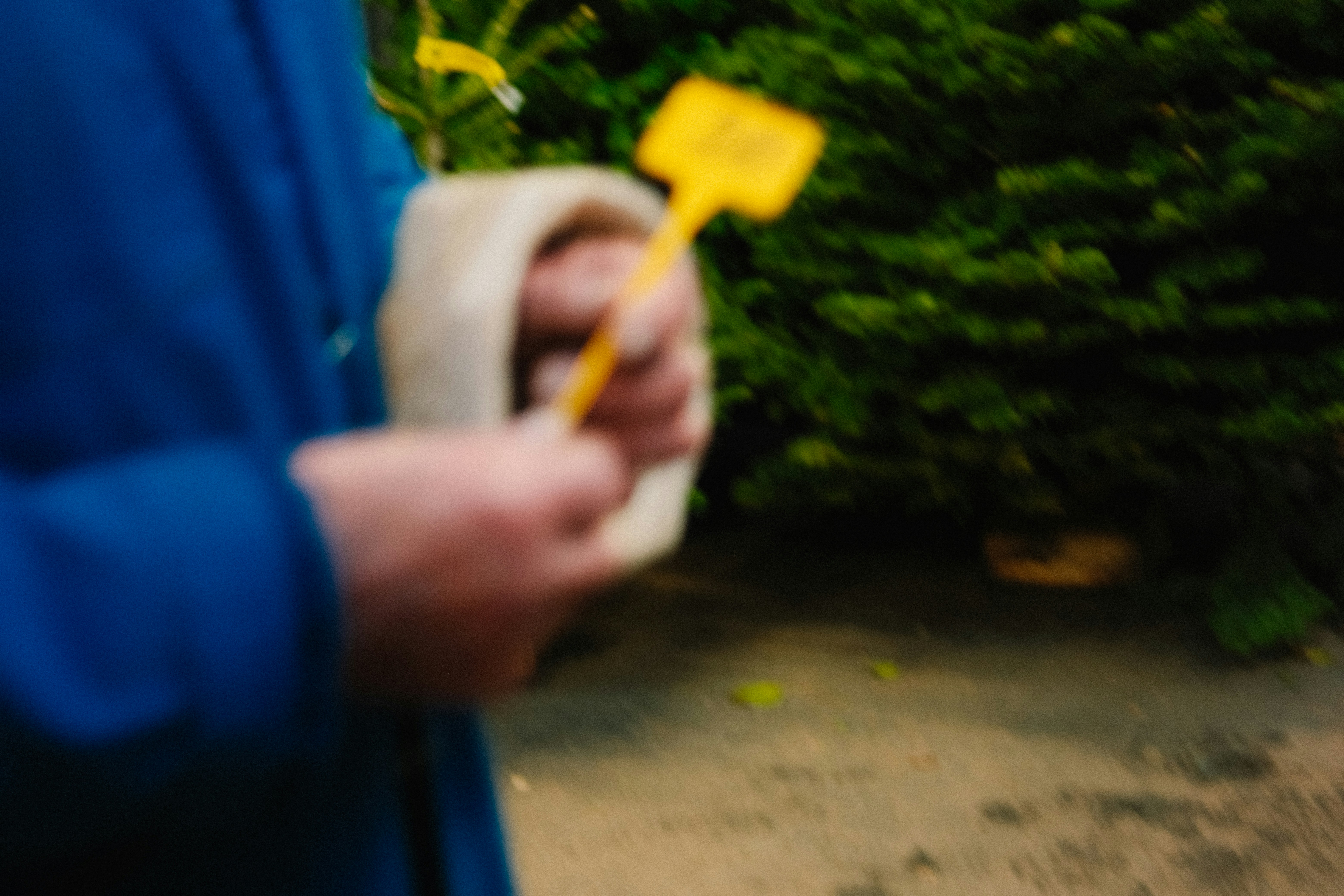 A person holding a yellow spatula in their hand photo – Free Paris ...