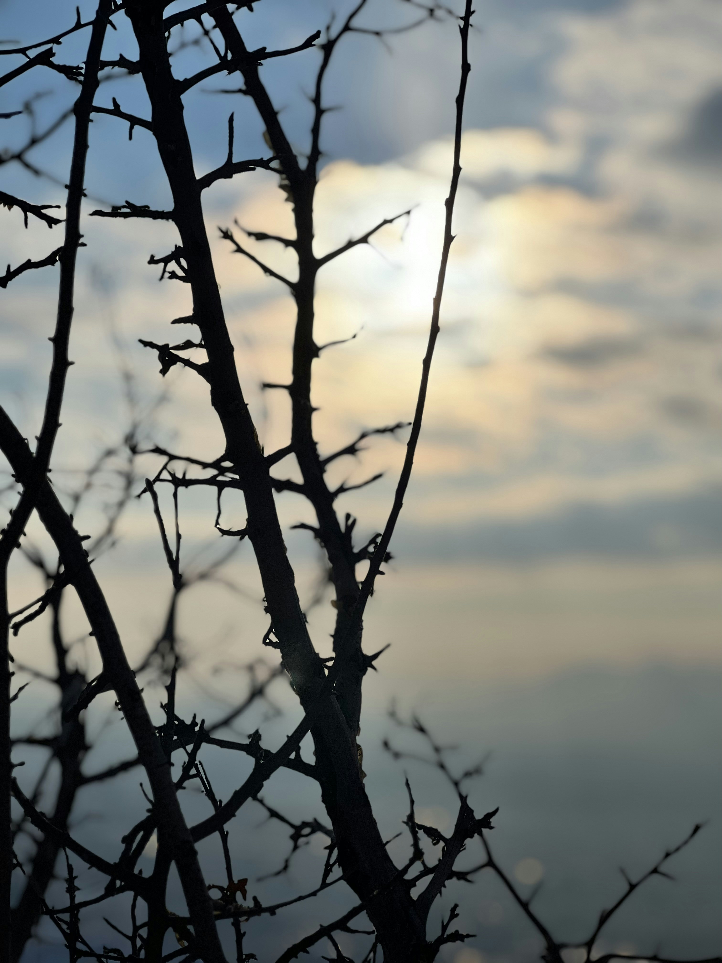 Photo by faezeh_eslami