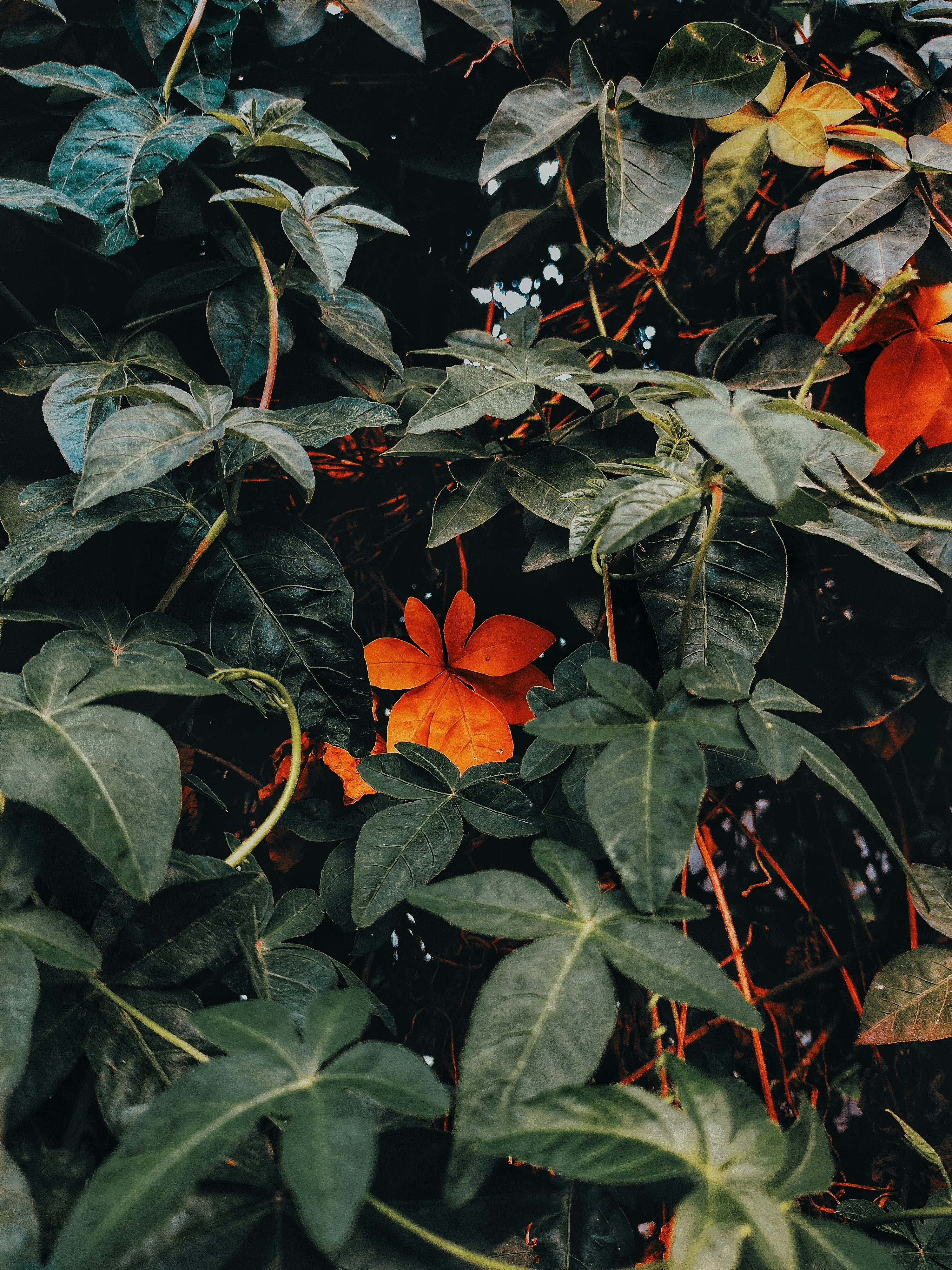 Photo by mehram_moods