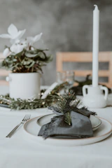 Minimalist table setting featuring warm beige bagasse plates paired with deep olive napkins.
