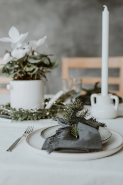 Minimalist table setting featuring warm beige bagasse plates paired with deep olive napkins.