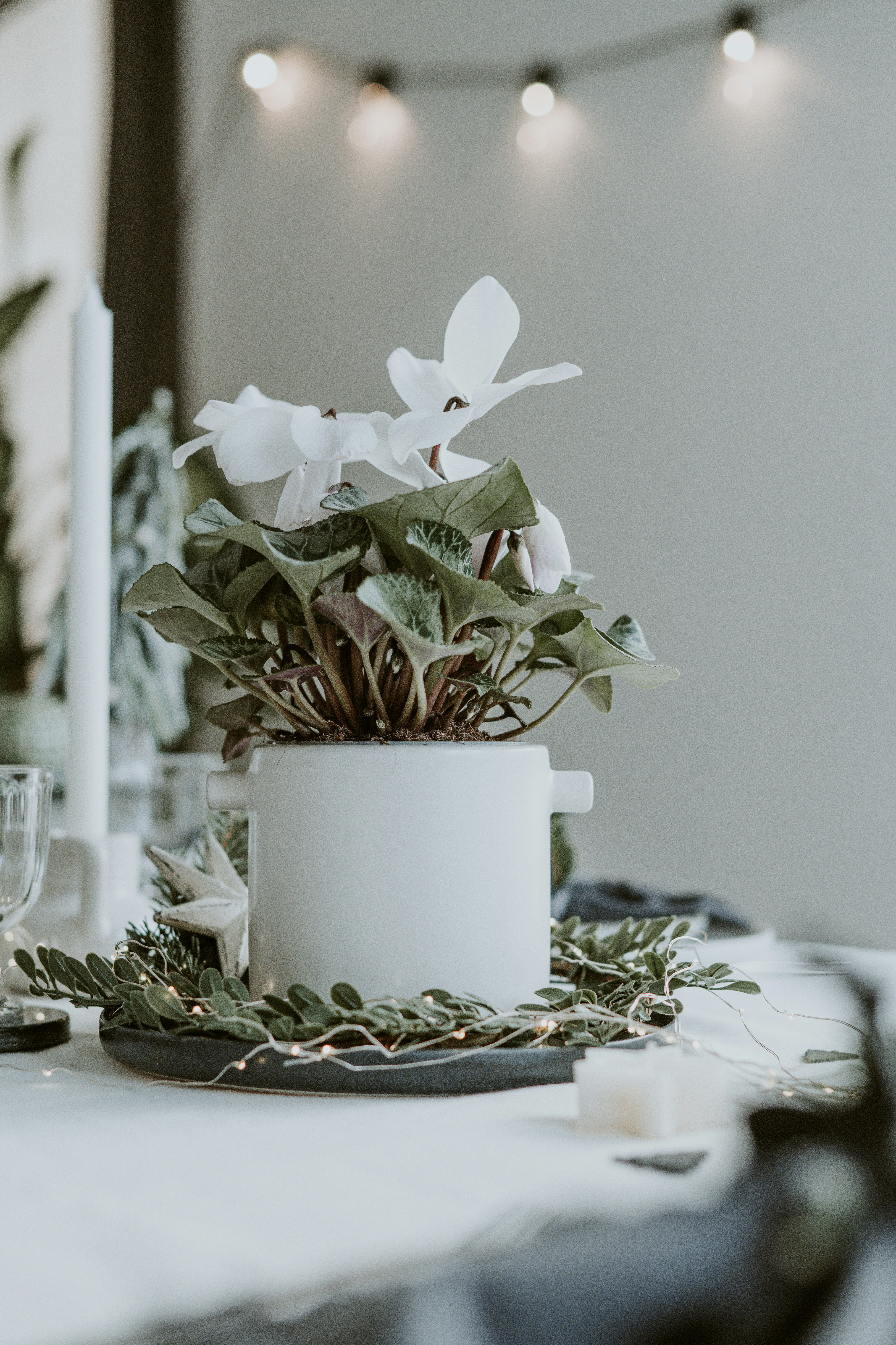 Photo by anitaaustvika