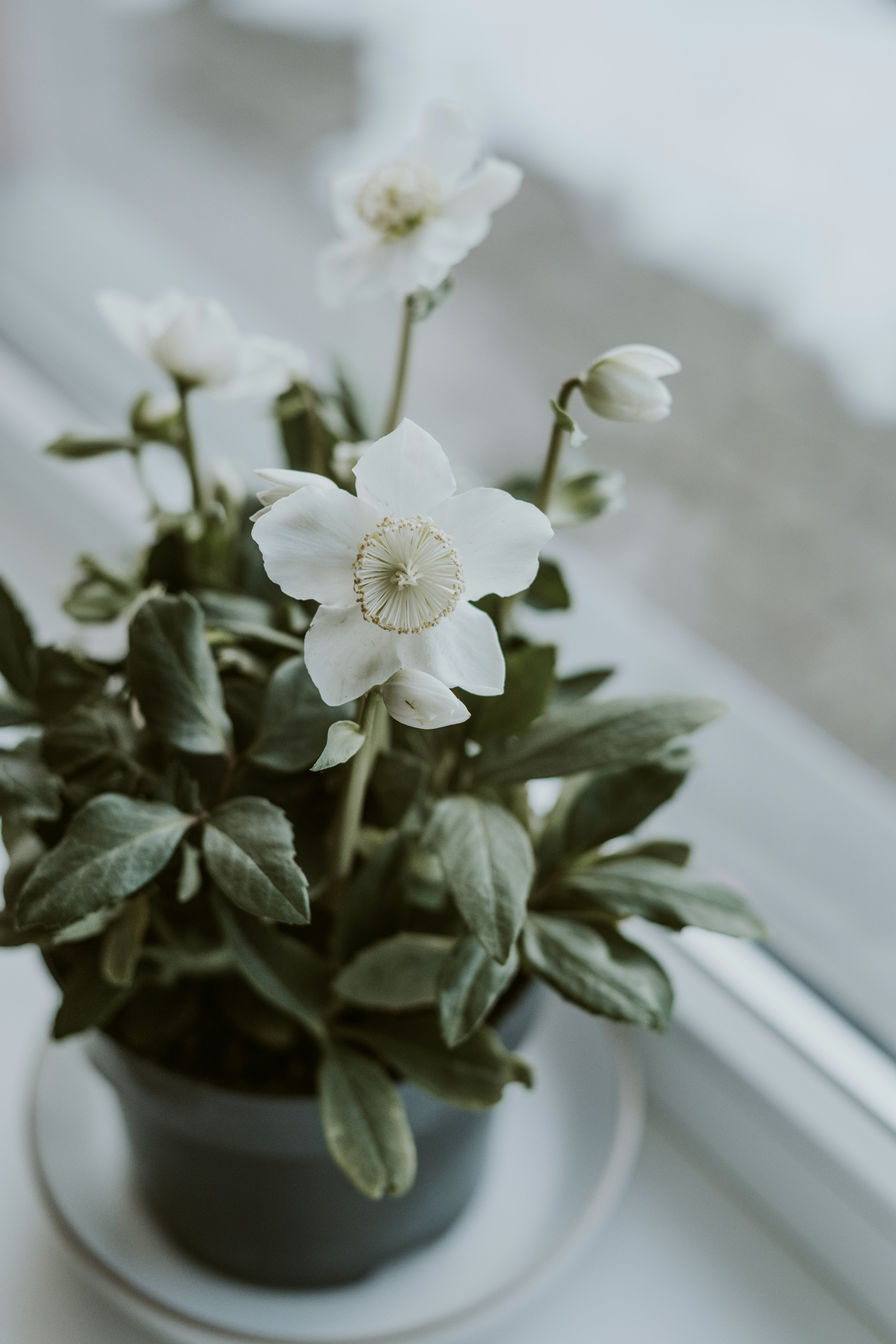 Photo by anitaaustvika