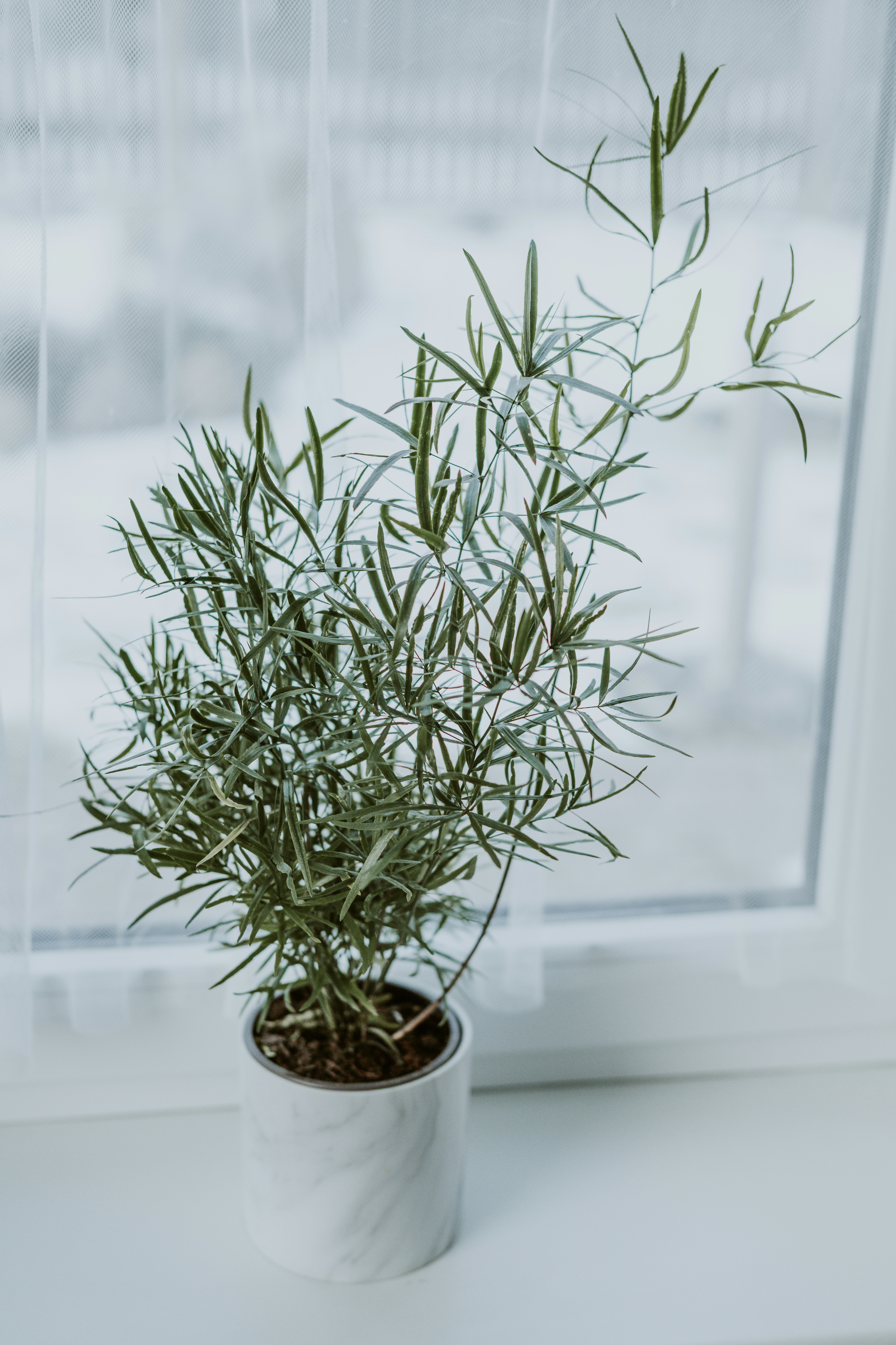 Photo by anitaaustvika