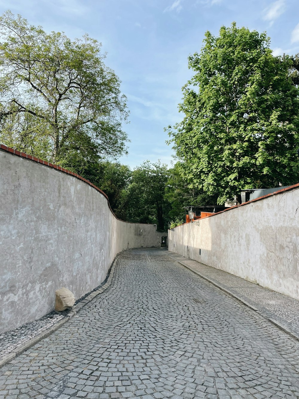 a cobblestone street with trees lining the sides