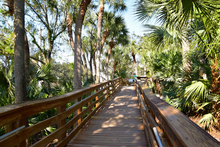 Wooden boardwalk through a lush Florida nature preserve, echoing Estero's protected wetlands and Koreshan State Park