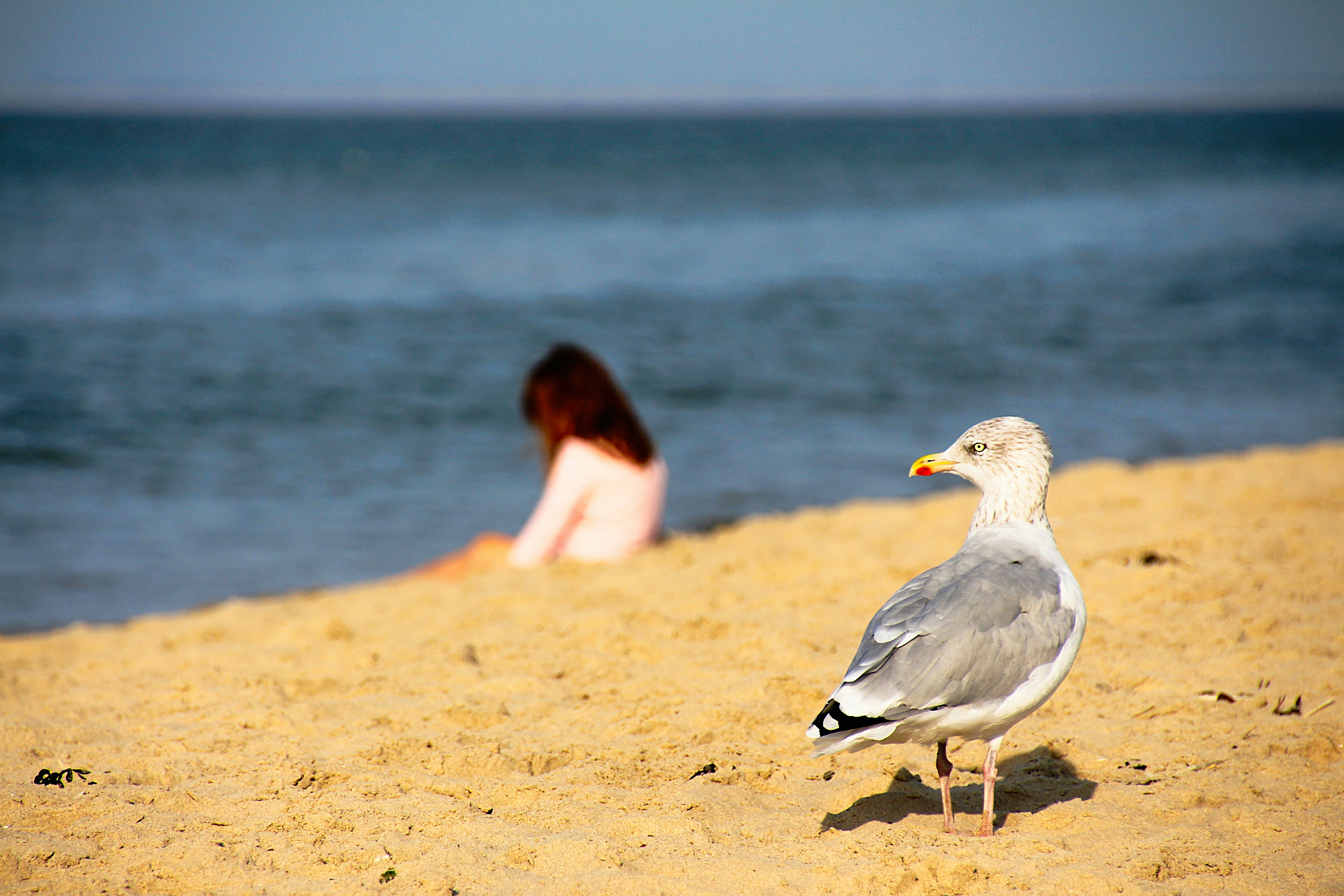 Photo by boerny_ccaa