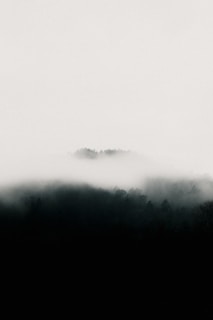 An eerie forest shrouded in mist and mystery.