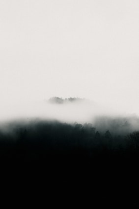A mystical forest shrouded in fog, symbolizing the mystery of legends.
