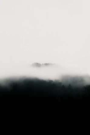 A misty forest clearing at dawn, evoking a sense of mystery and magic.