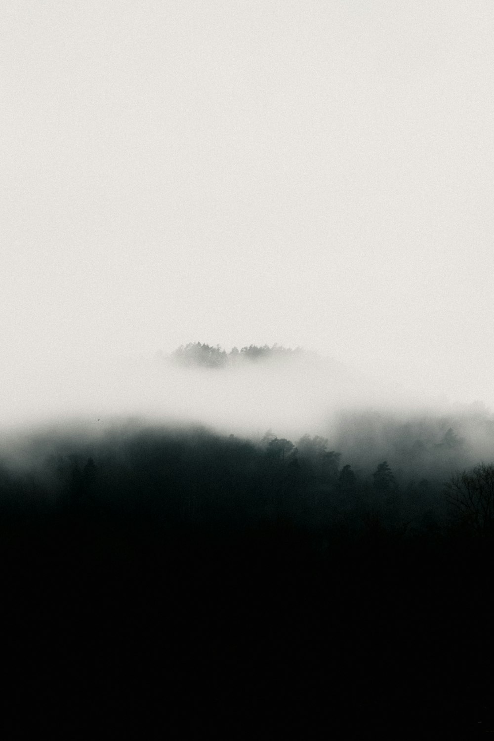 a black and white photo of a foggy mountain