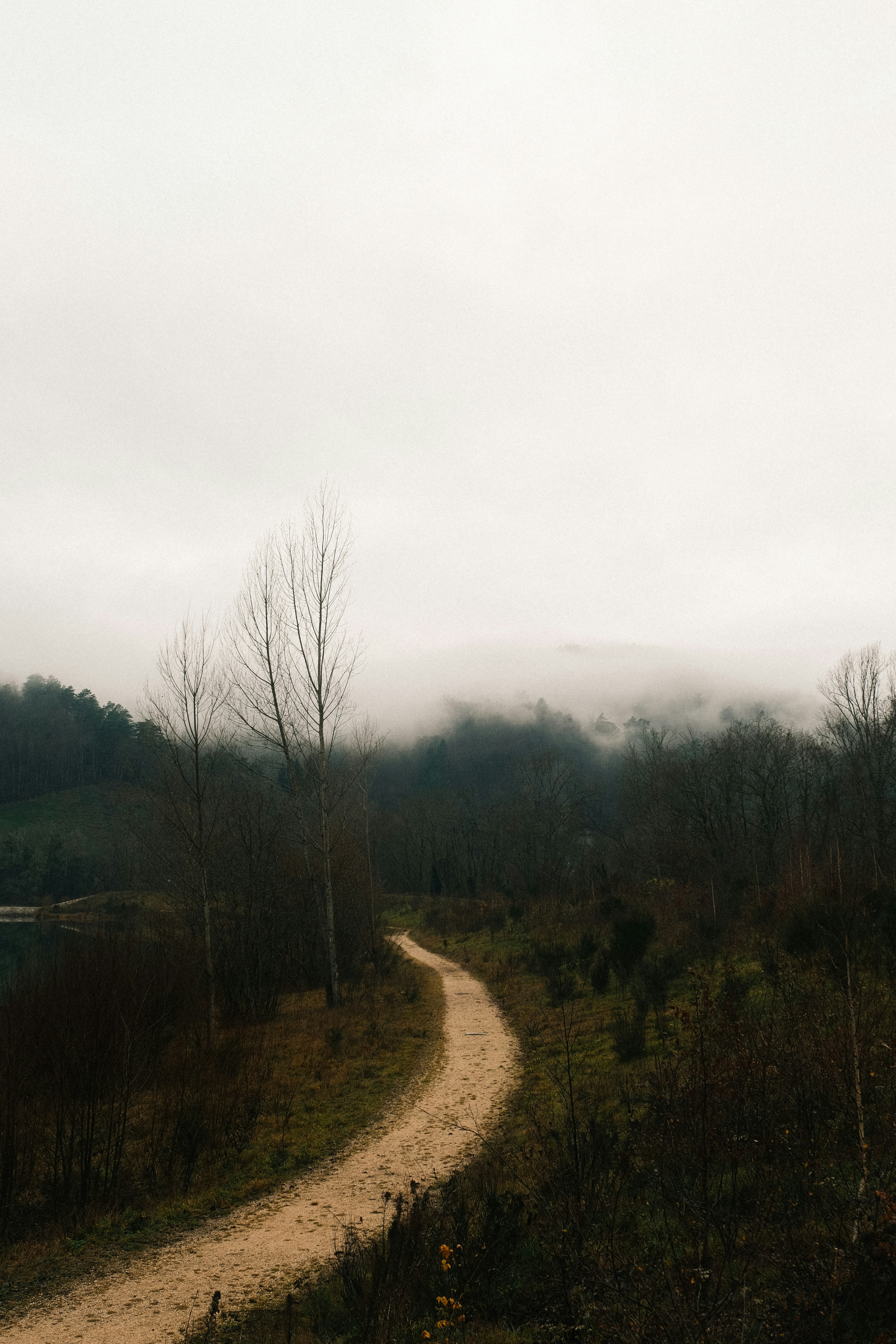 Photo by matreding