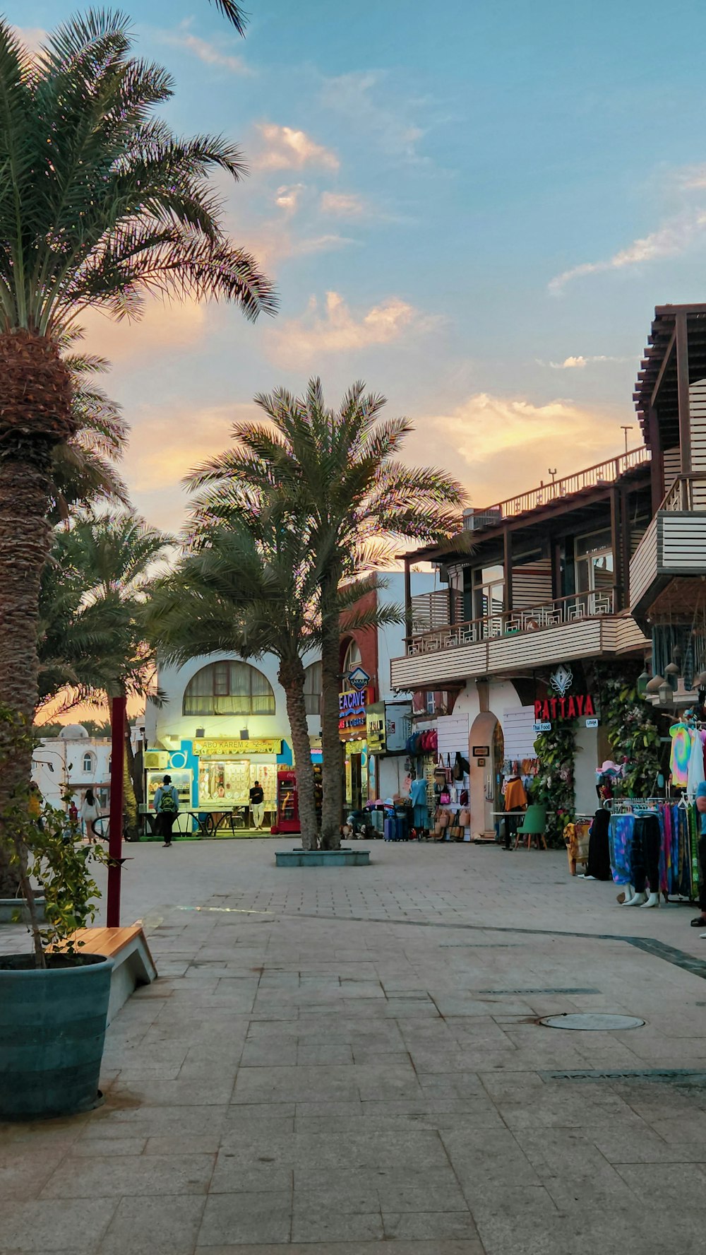 a street with palm trees and shops in the background
