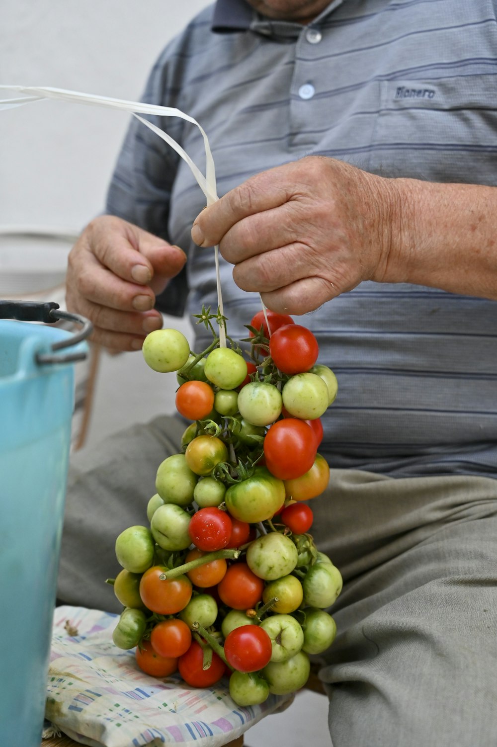 a man holding a bunch of tomatoes on top of a table