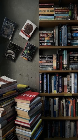 A cozy reading corner with diverse books from the agency.