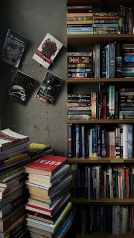 A cozy corner showcasing a selection of colorful books.