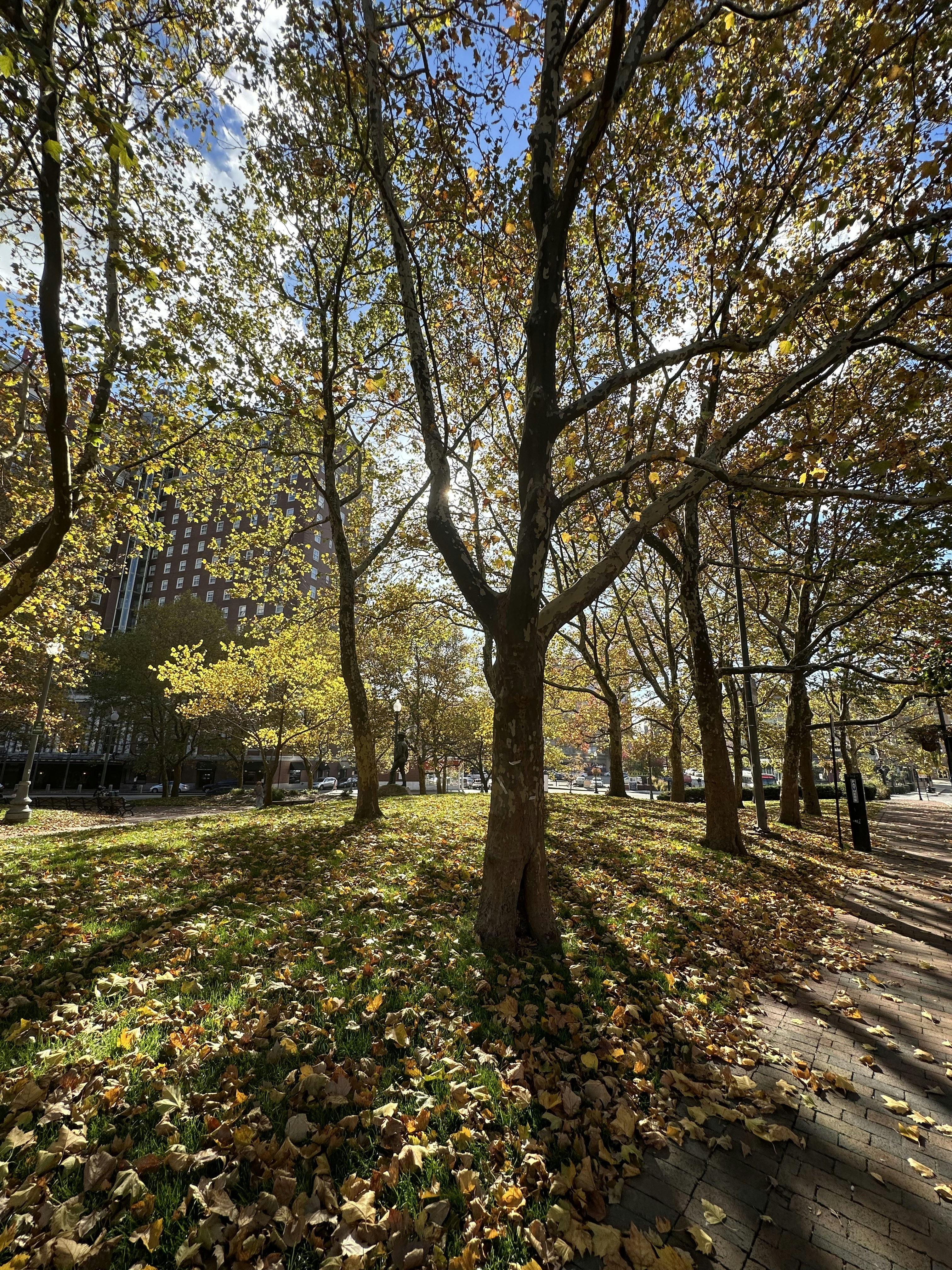 Photo by apoorvat2000