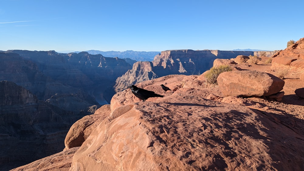 a person sitting on top of a large rock