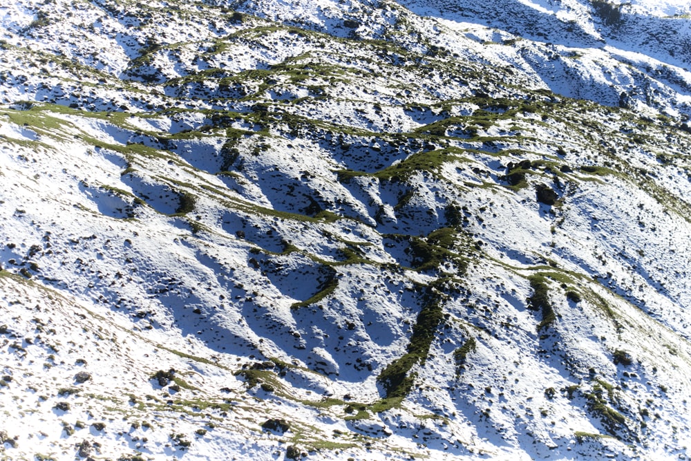 a snow covered mountain with a bird flying over it