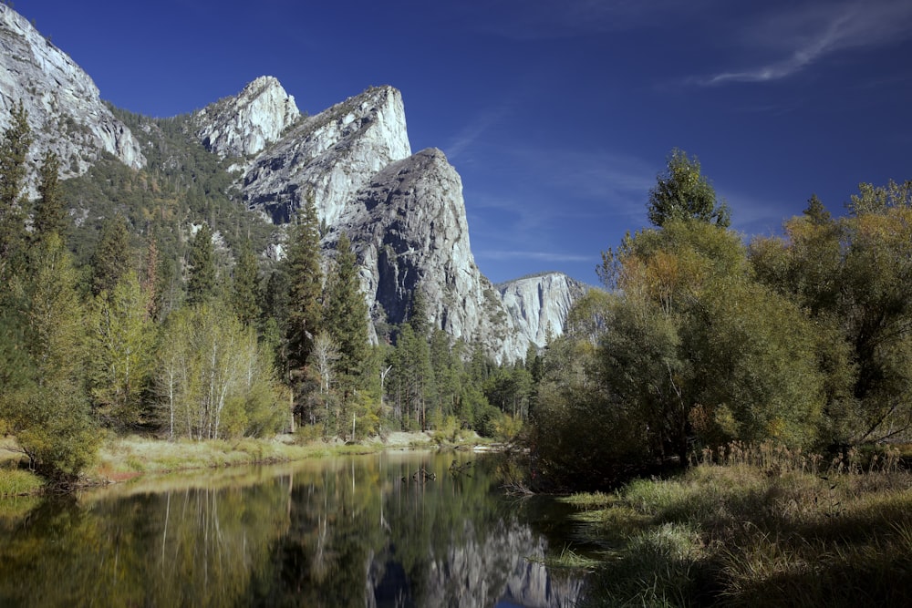 a body of water surrounded by trees and mountains