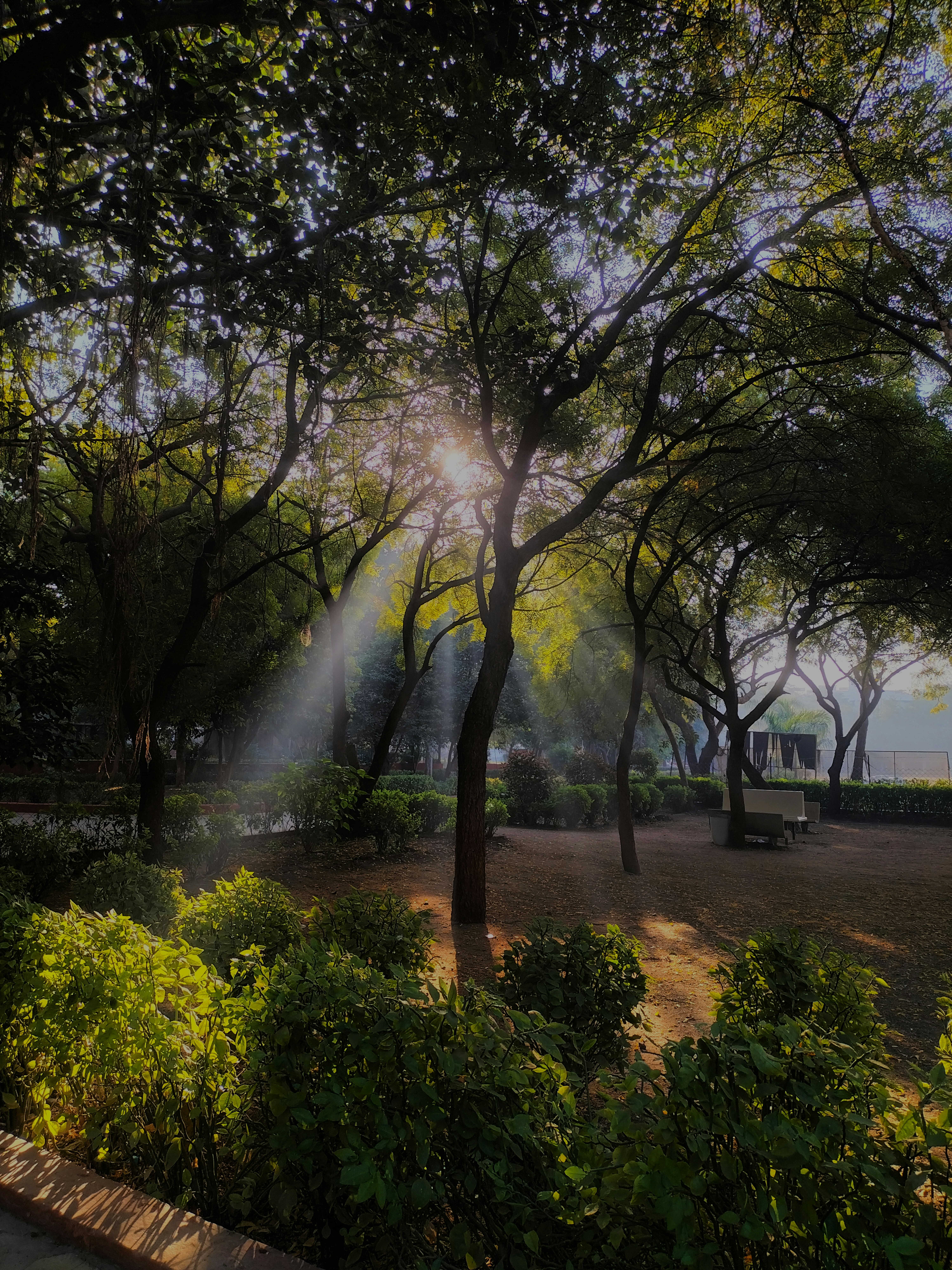 Photo by vatsaljoshii