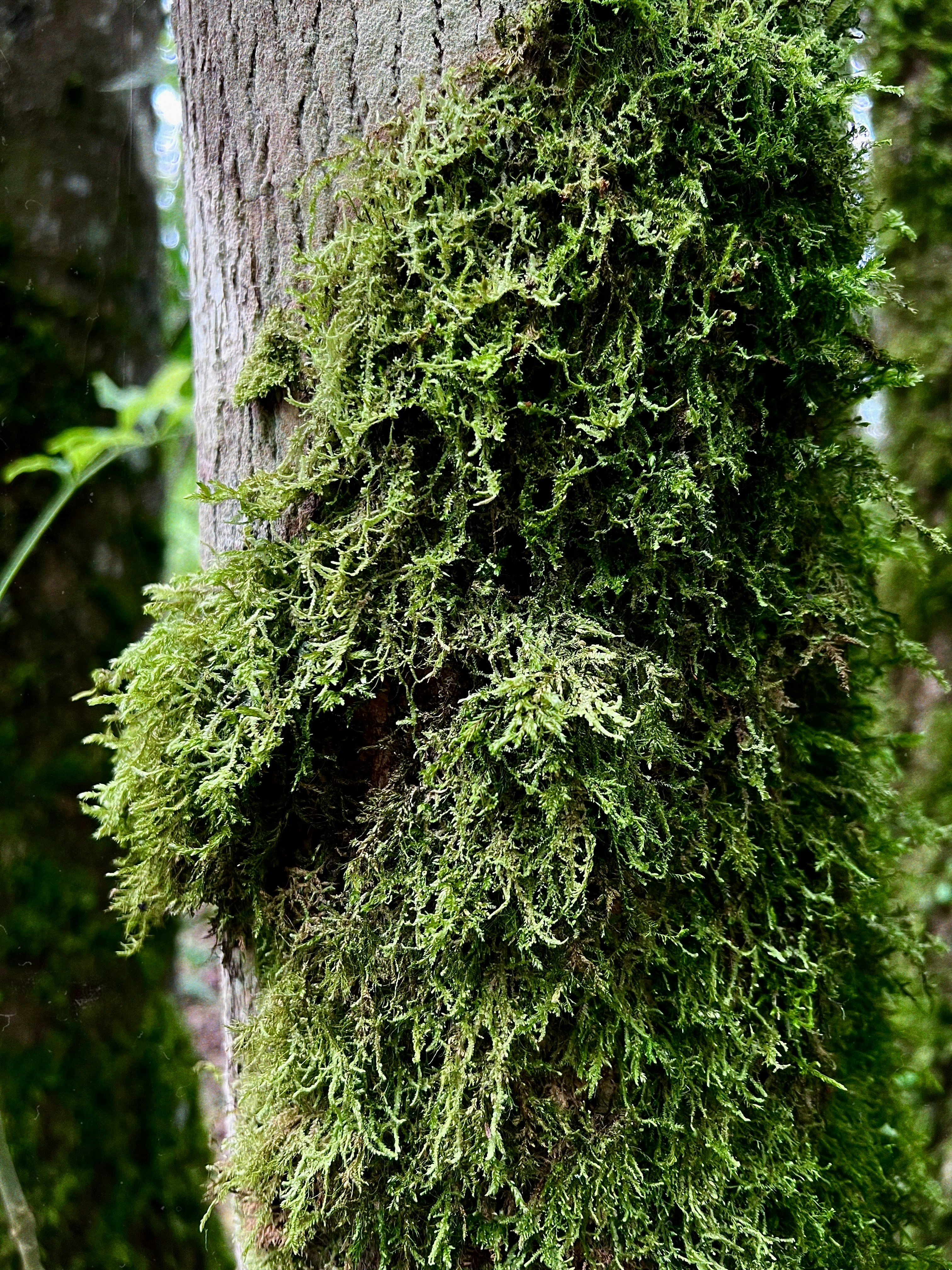 Photo by miguelsarmiento