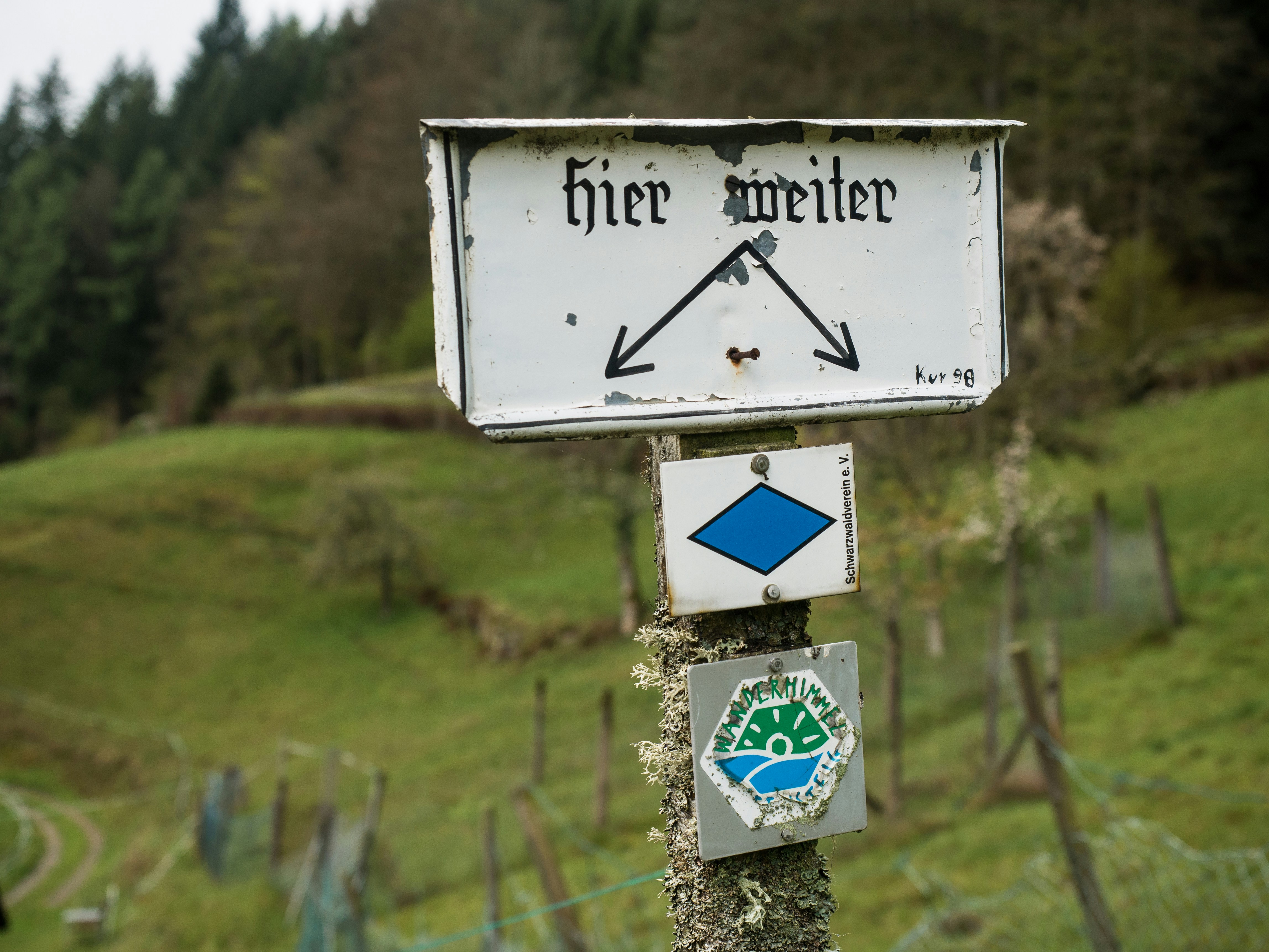Hilfreiche Weisung. Ob links oder rechts, eine Entscheidung ist gefordert und muss getroffen werden. Helpful instruction. Whether left or right, a decision is required and must be made.