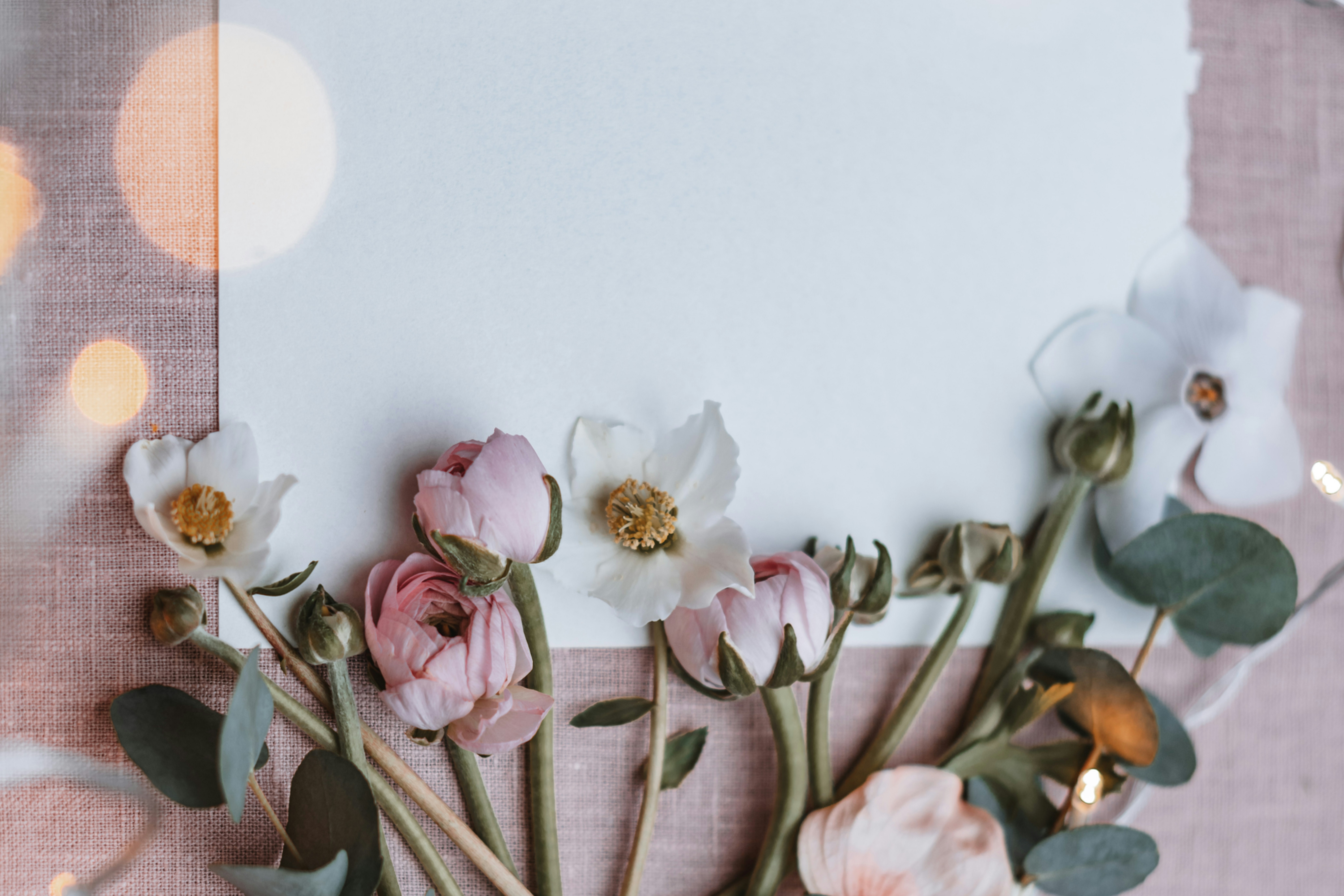 Photo by anitaaustvika