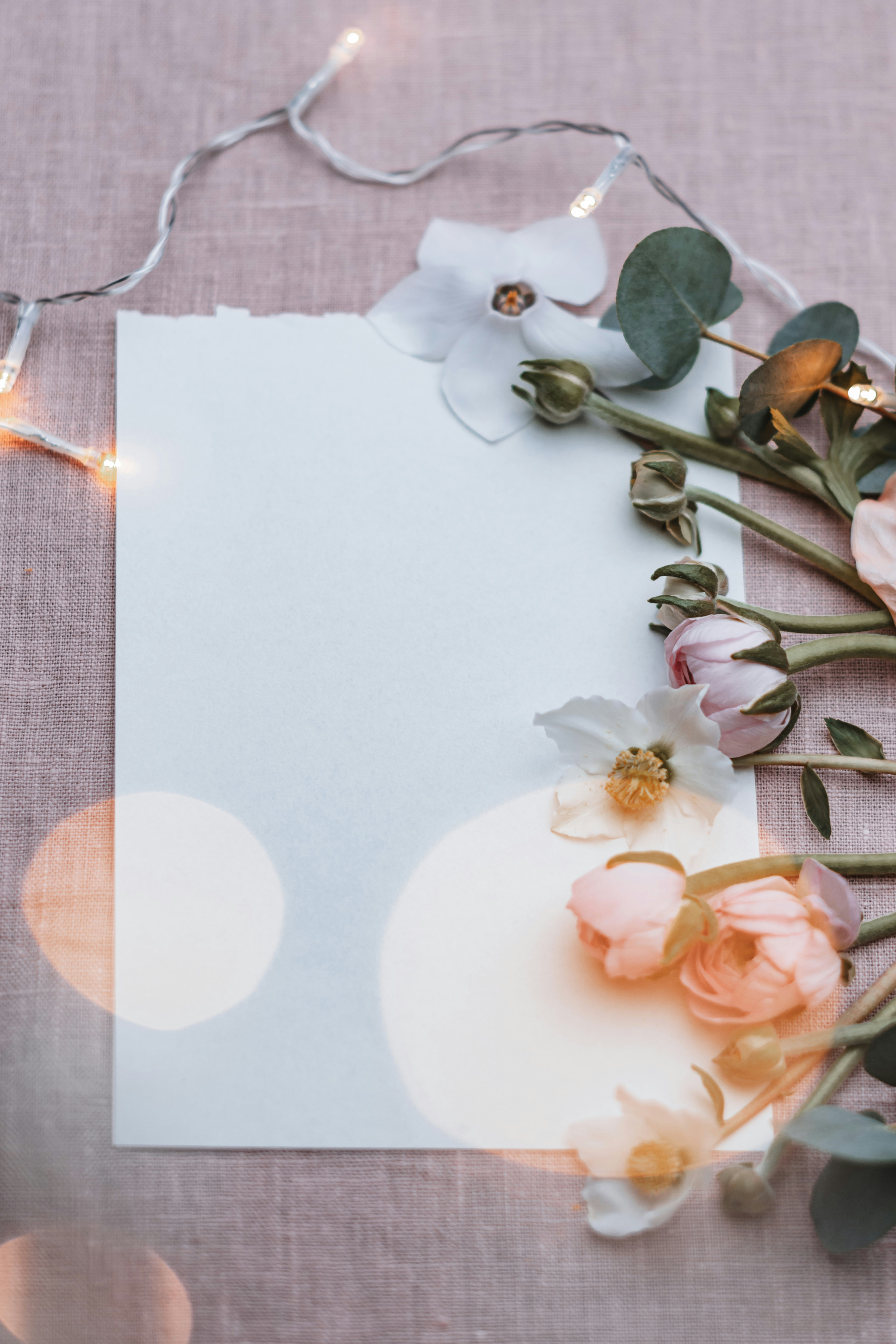 Photo by anitaaustvika