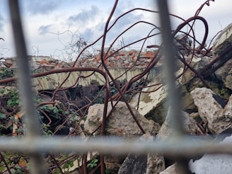 A scene of rubble and debris with rusted metal rods protruding from broken concrete. Plants are growing among the debris, and the sky is overcast.