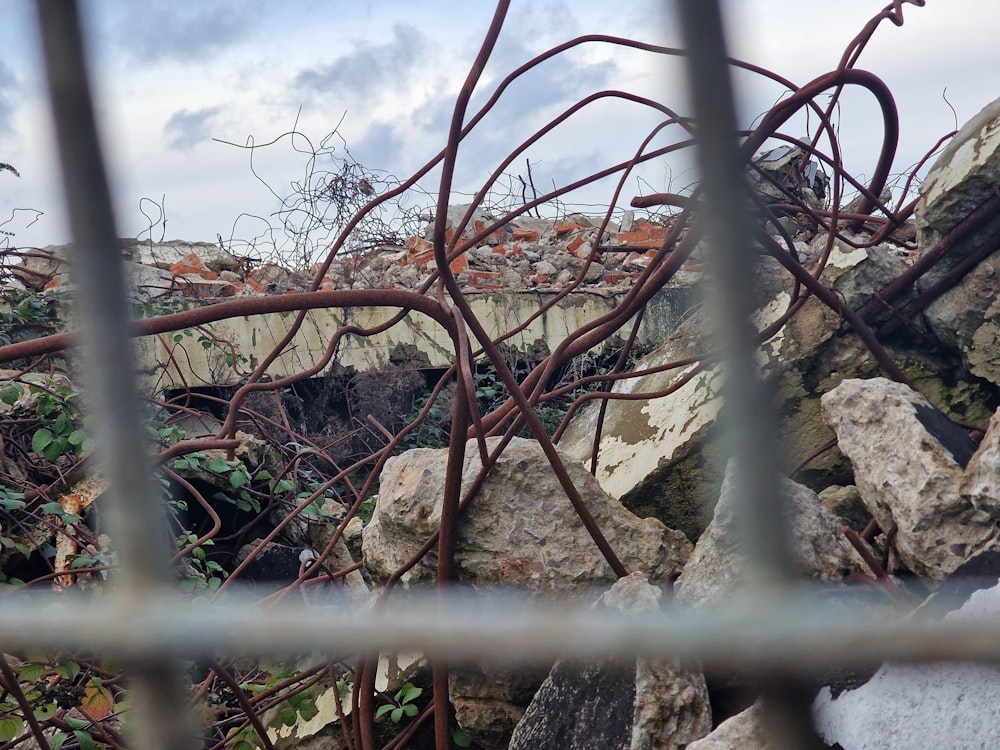 a bunch of rocks that are behind a fence