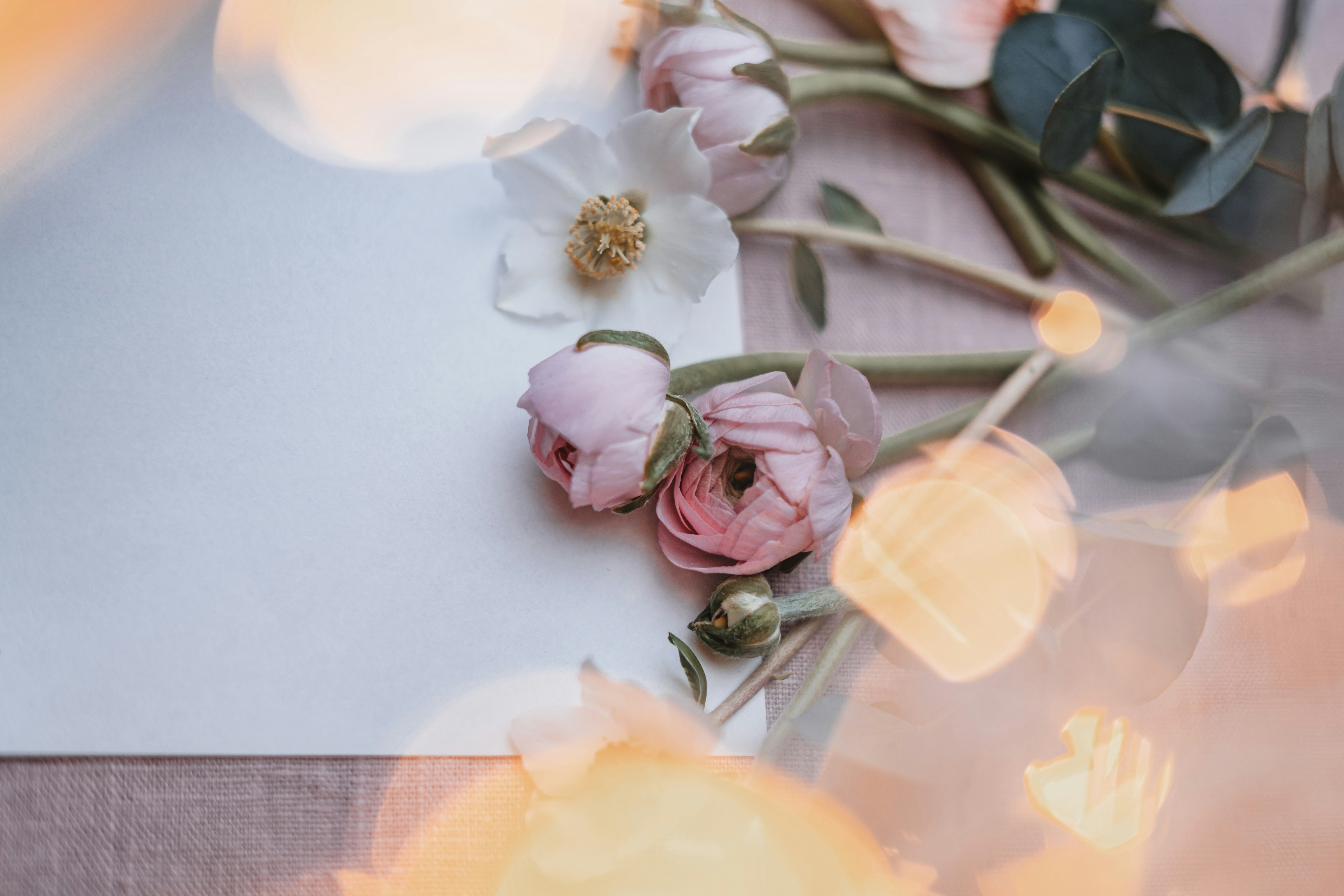 Photo by anitaaustvika